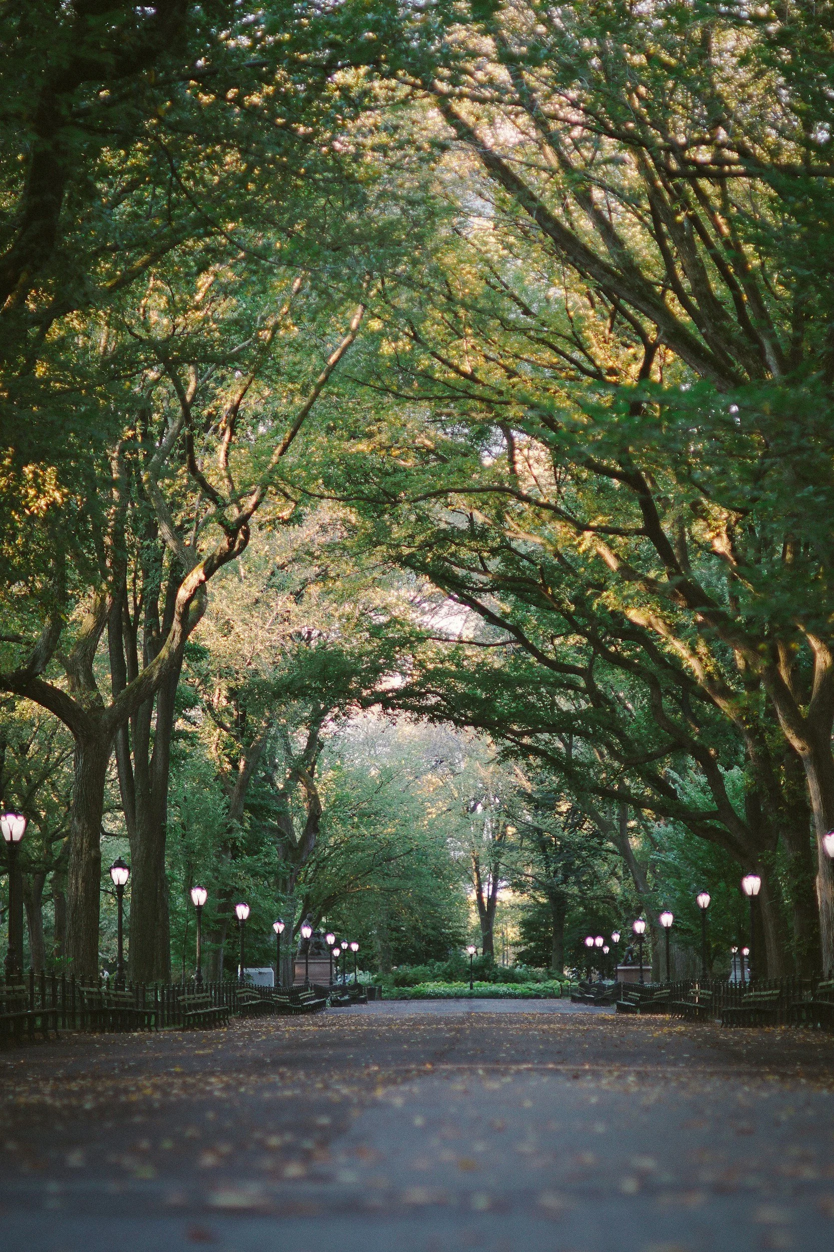 View of Central Park along the Upper West Side in Manhattan, New York City