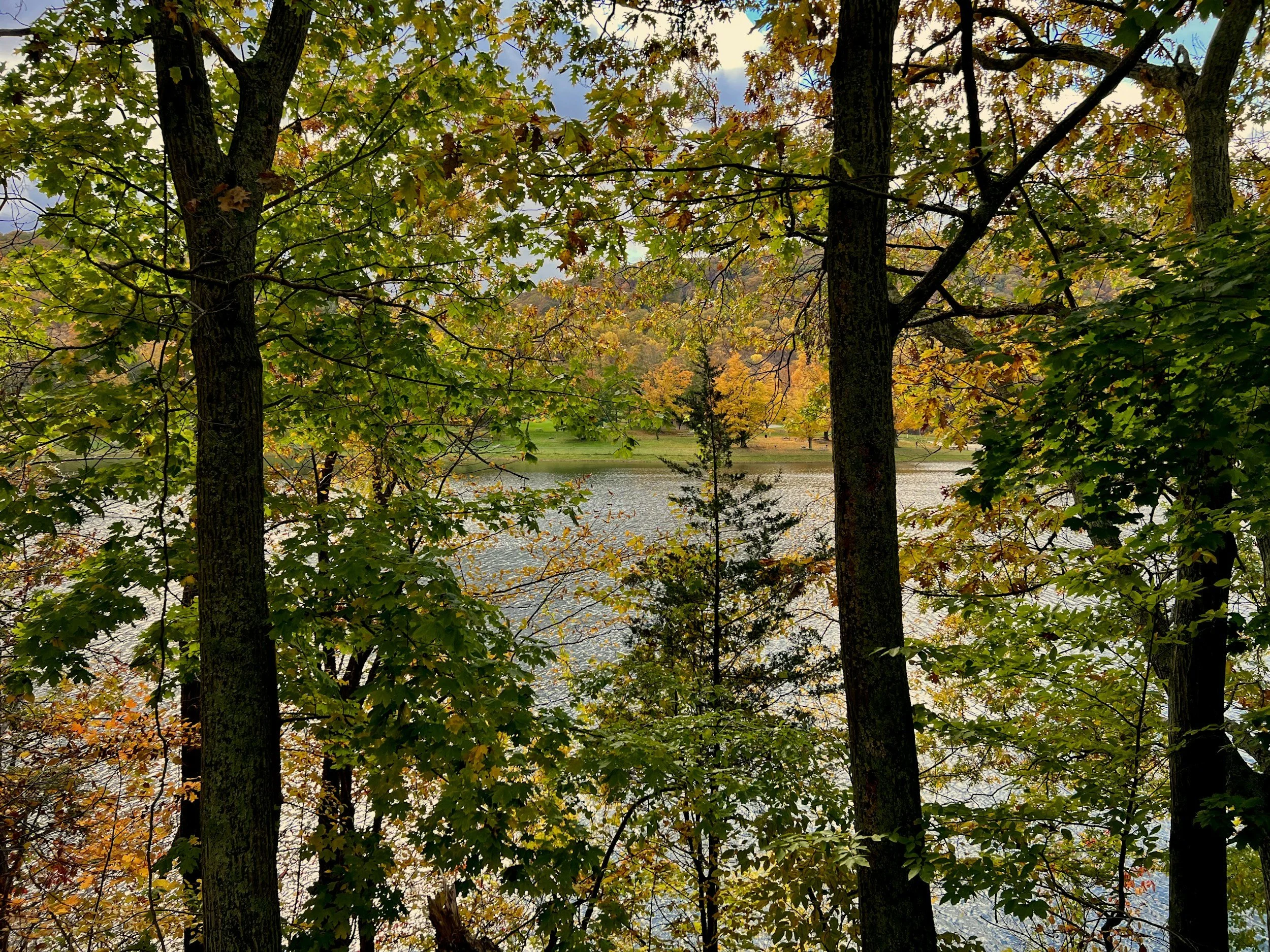 Online adult autism diagnosis and evaluation in Fairfield, CT