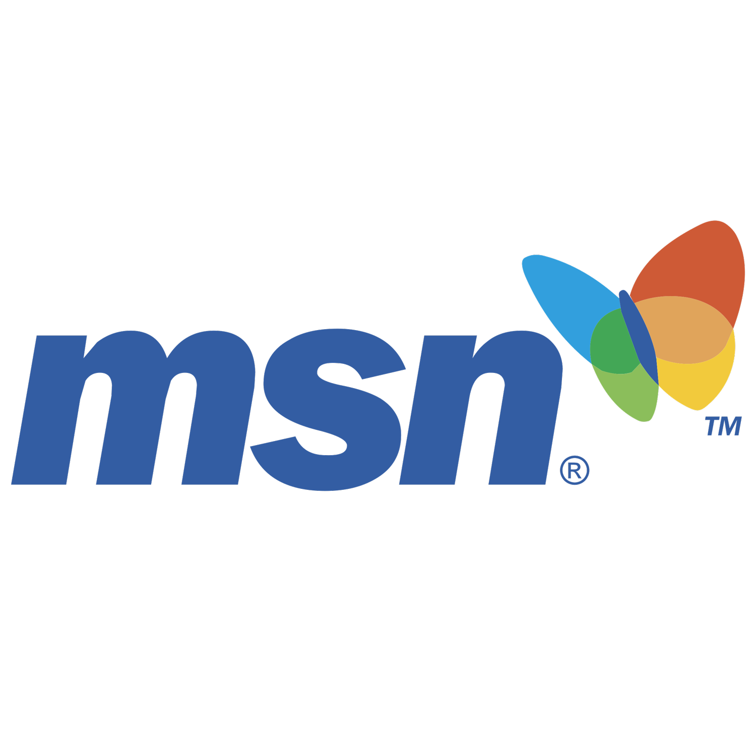 MSN Logo