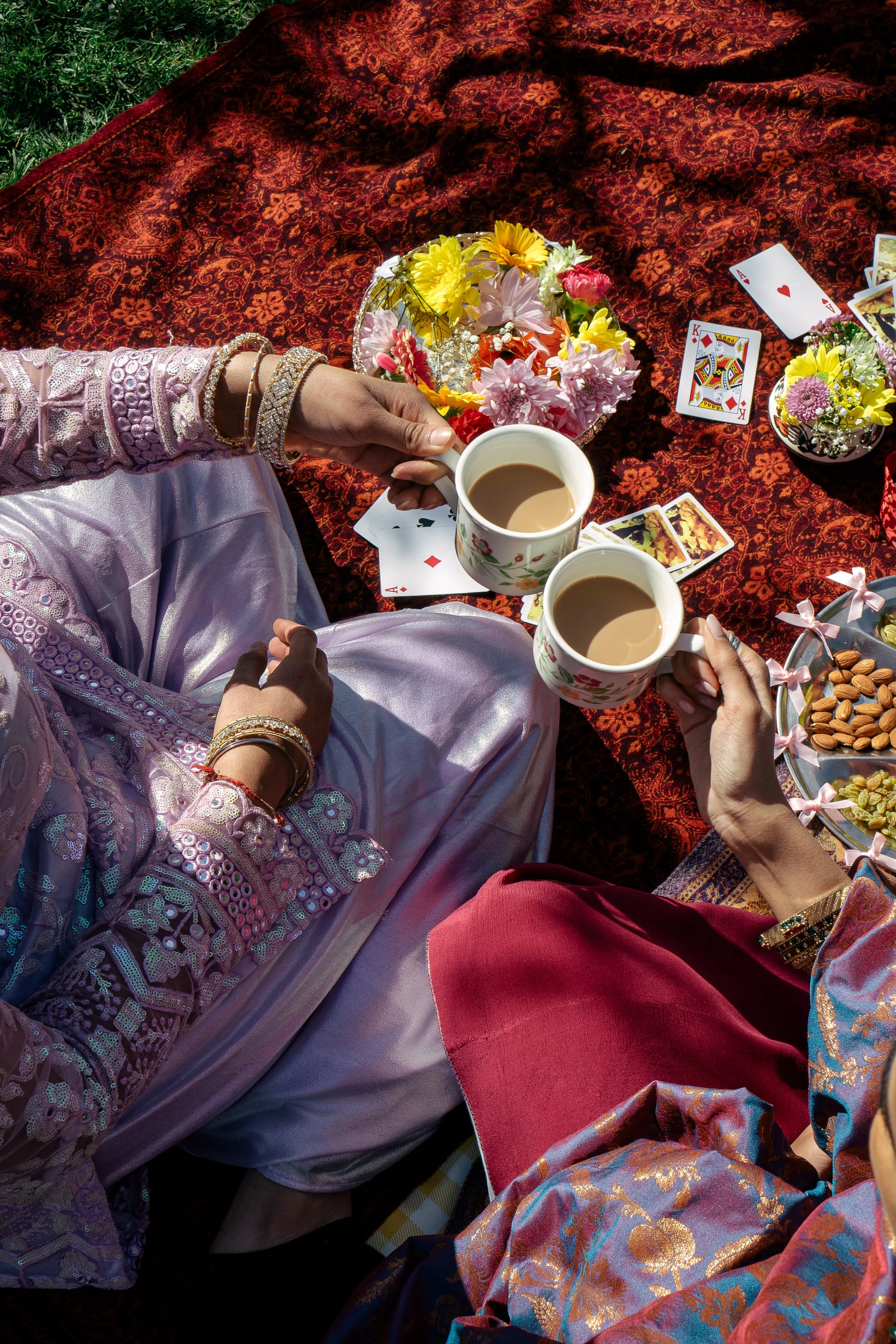 desi picnic-004.jpg