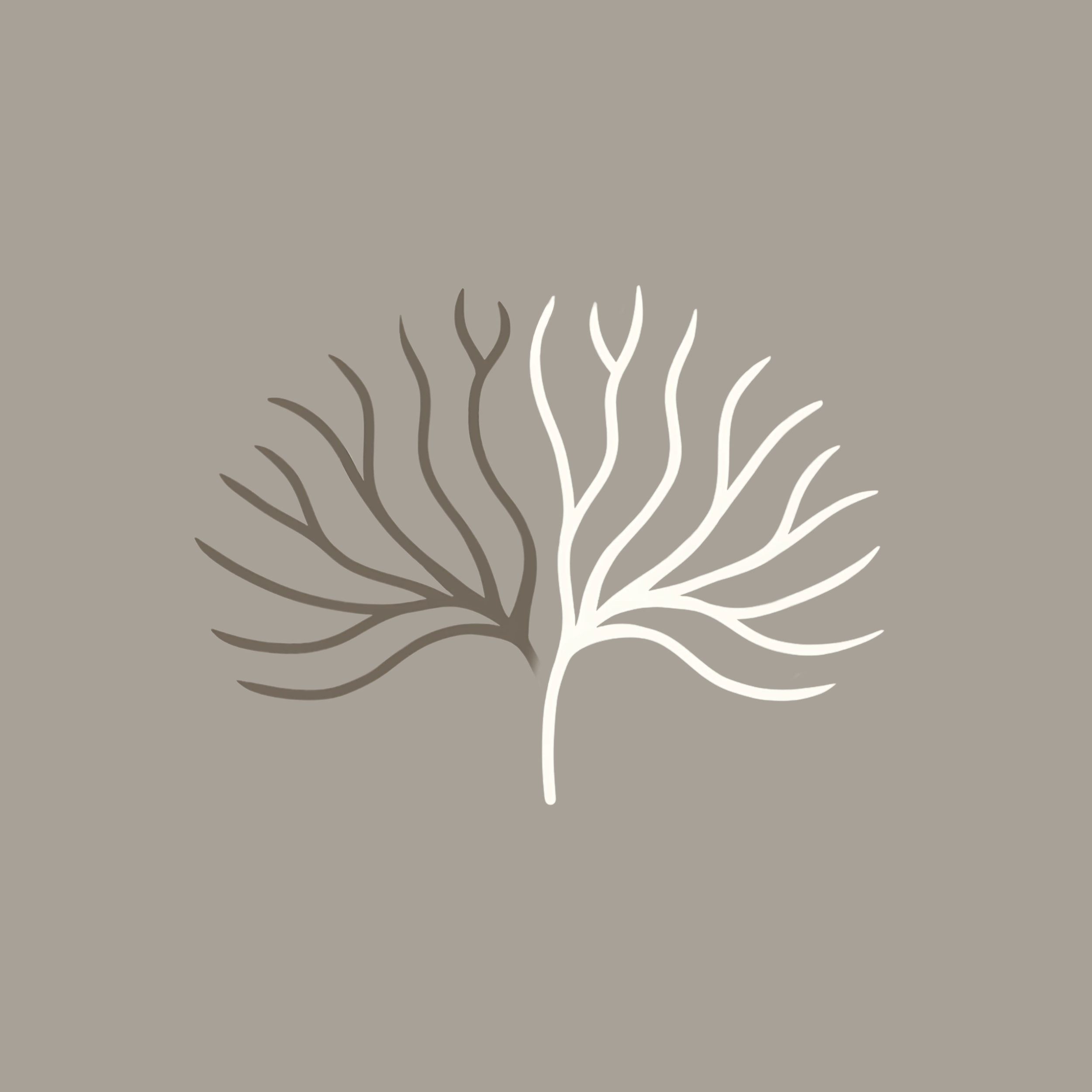 Lewis & Soule Neuropsychologists – Cape Town-based clinical neuropsychology practice logo featuring a stylized, two-tone tree representing neuronal connections.
