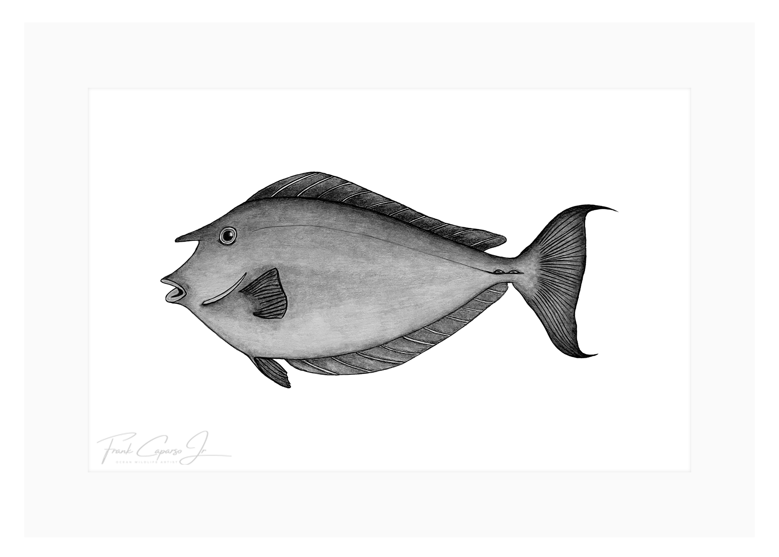 Kala Print 1 Product Image.png