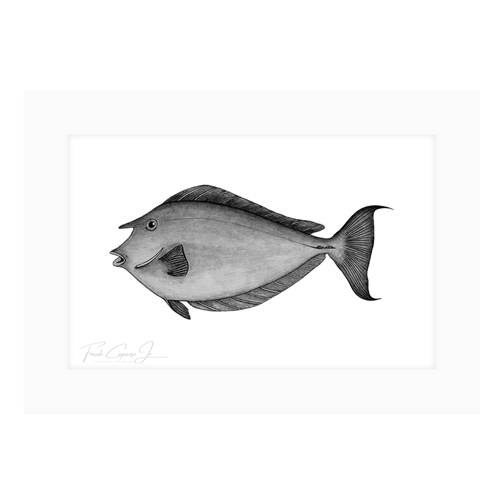 Kala Drawing Print No. 1