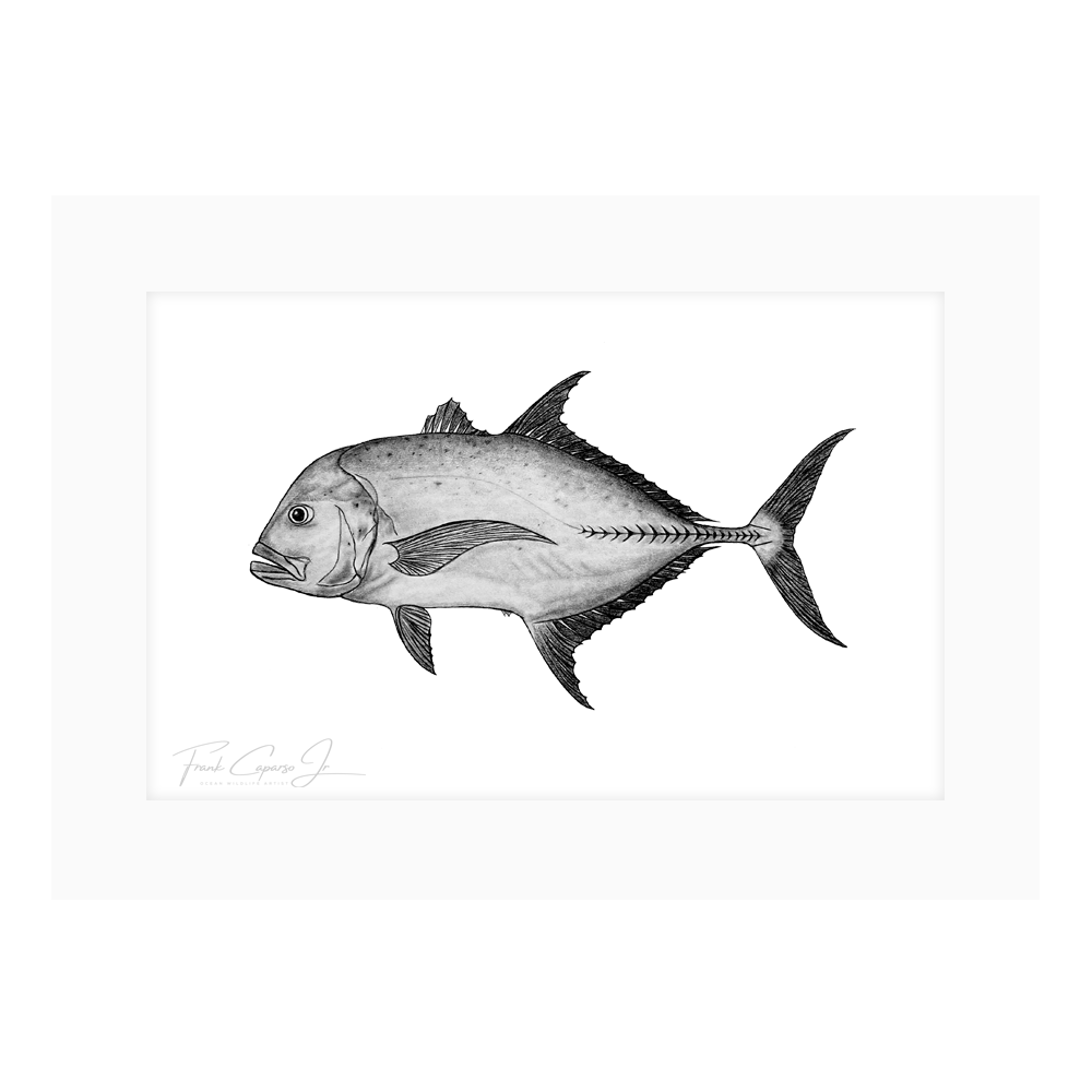 Giant Trevally Drawing Print No. 1