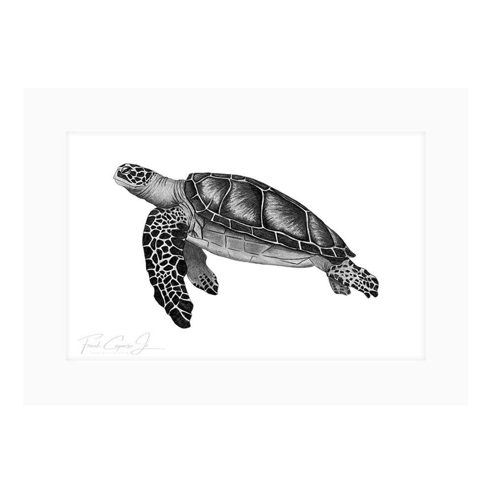 Sea Turtle Print 3 Product Image Shadow.png