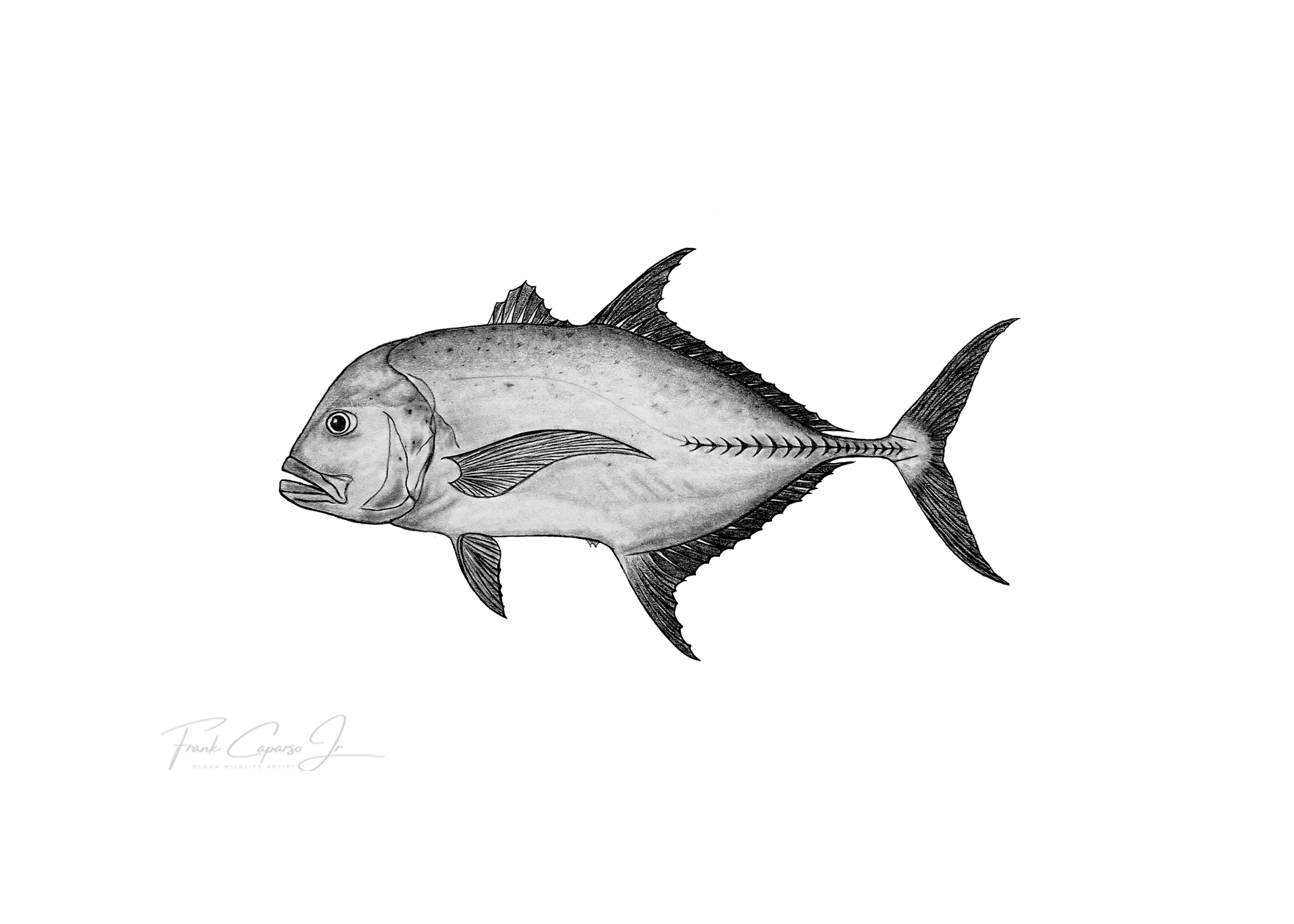 Ulua Print 1 Product Image No Boarder.png