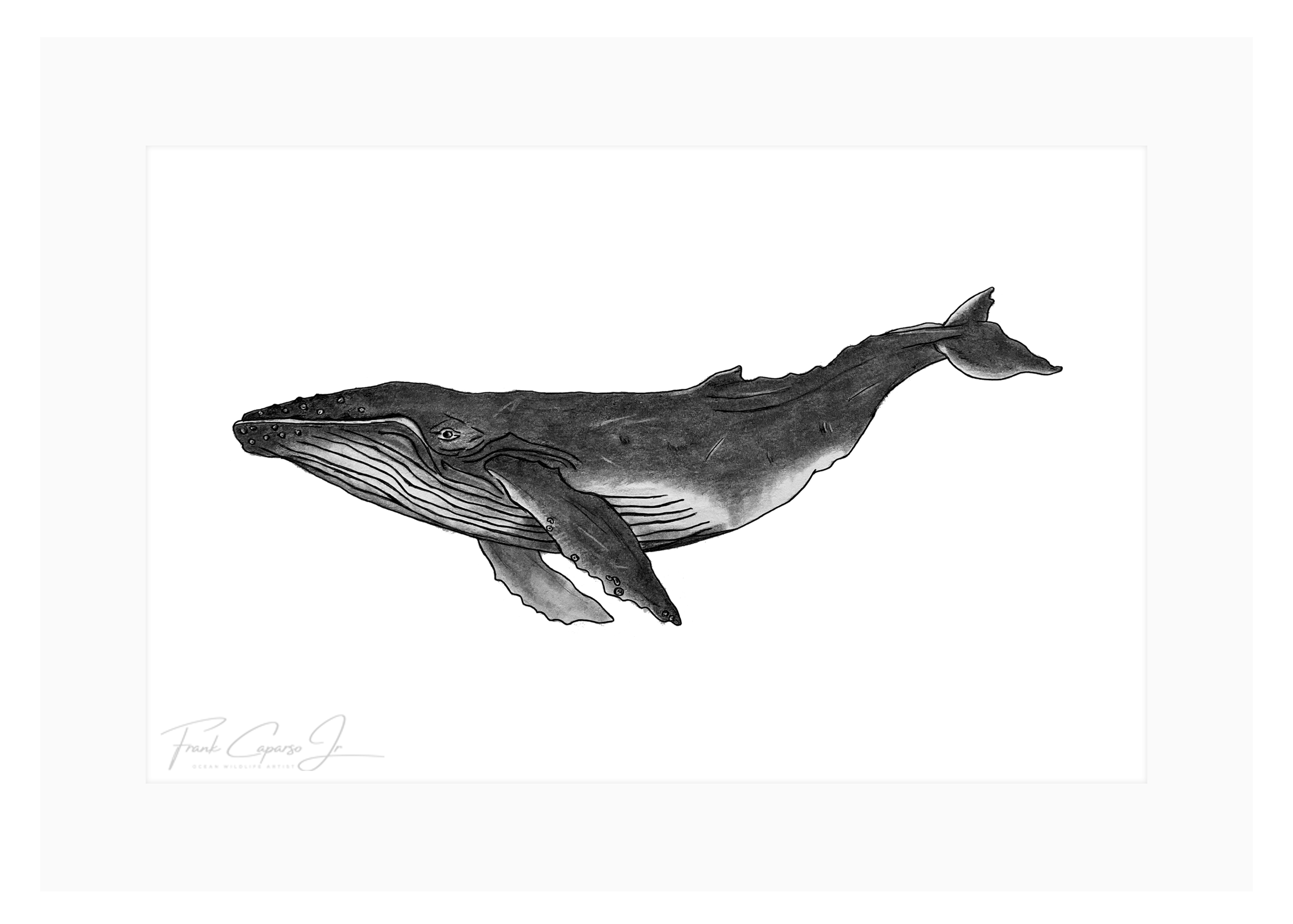 Whale Print 1 Product Image.png