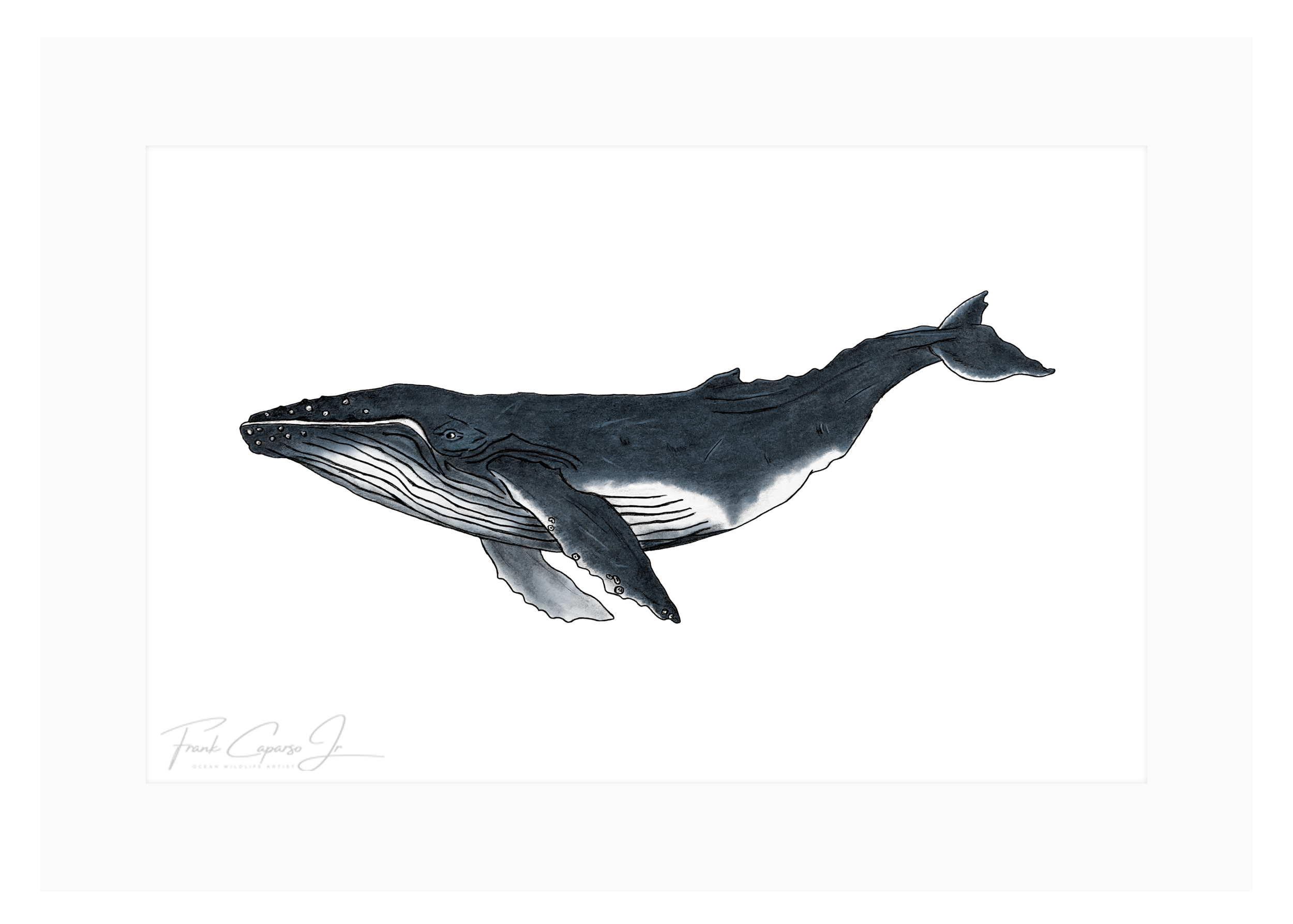 Whale Print 1 Product Image Colored.png