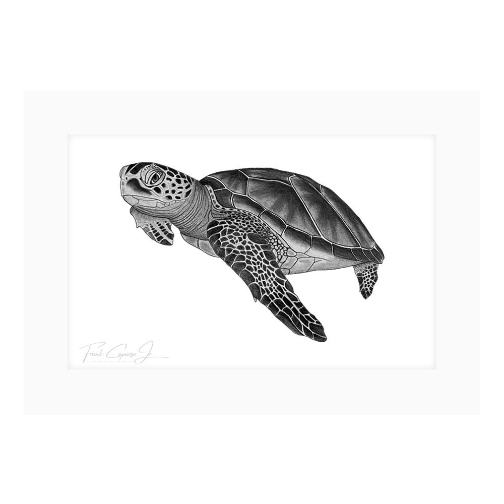 Sea Turtle Print 8 Product Image Shadow.png