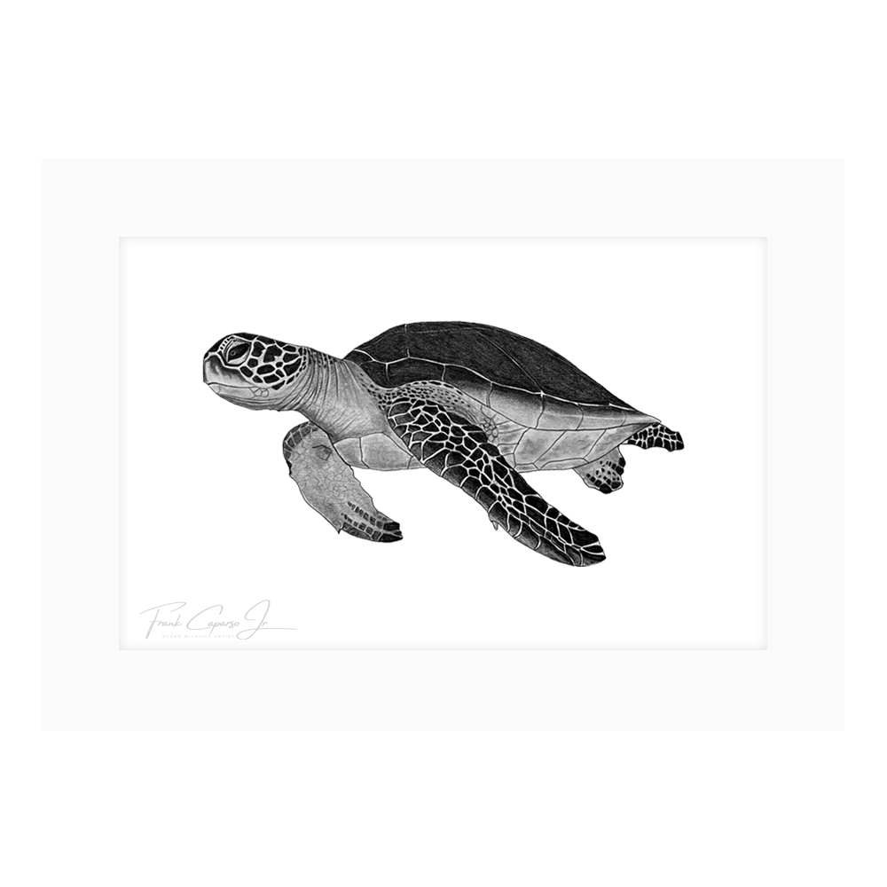 Sea Turtle Print 2 Product Image Shadow.png