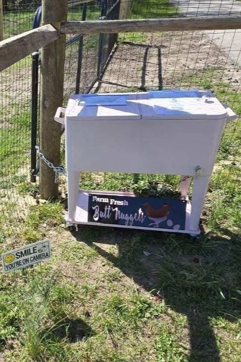 egg cooler money box.jpg