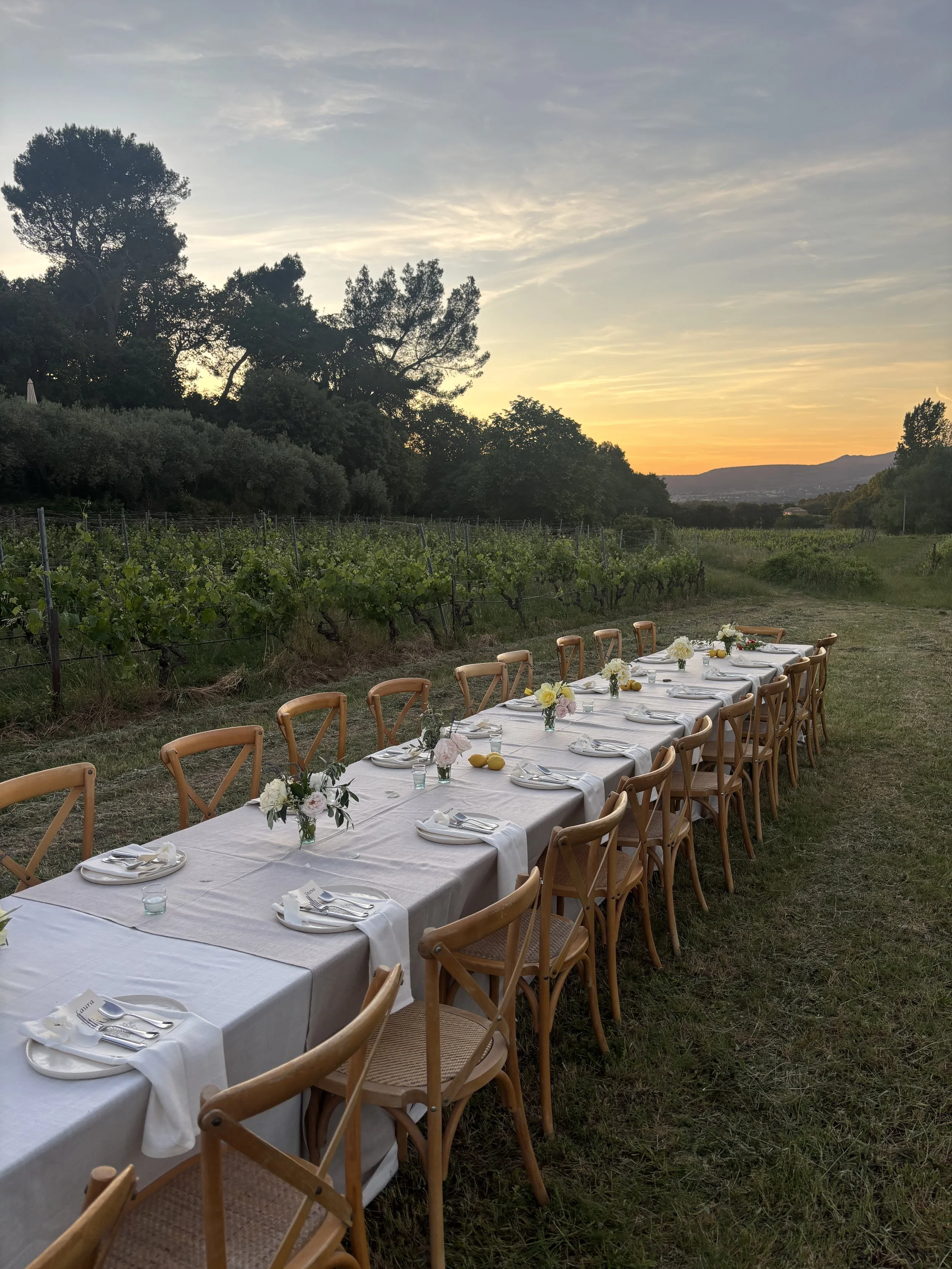 REHERSAL DINNER IN PROVENCE