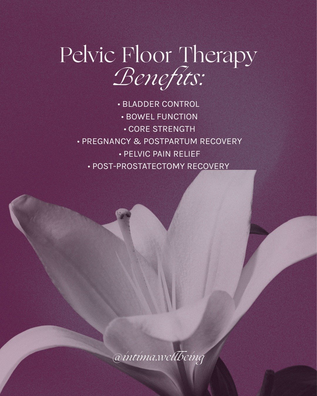Pelvic floor therapy is about more than one symptom; it&rsquo;s about whole-body support for women and men.

From bladder control to postpartum recovery, our team at Intima Wellbeing provides personalized, compassionate care to help you feel stronger