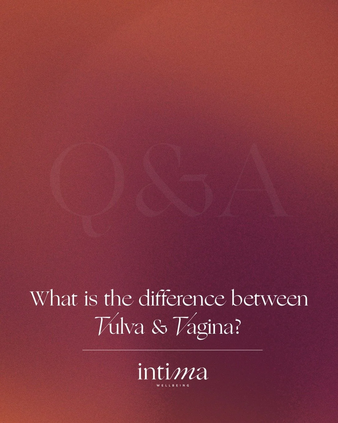 Most people were never taught the difference, but understanding your body matters.

The vulva is everything on the outside.
The vagina is the internal canal.

Simple, clear, and important for your health, confidence, and conversations with your provi