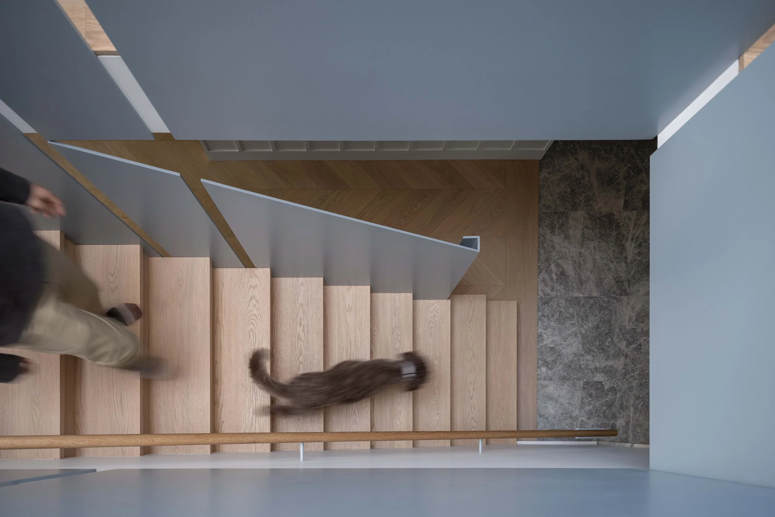 View of a staircase with wooden steps, blue steel guards, and a stone floor at the bottom, with a person and dog walking down.