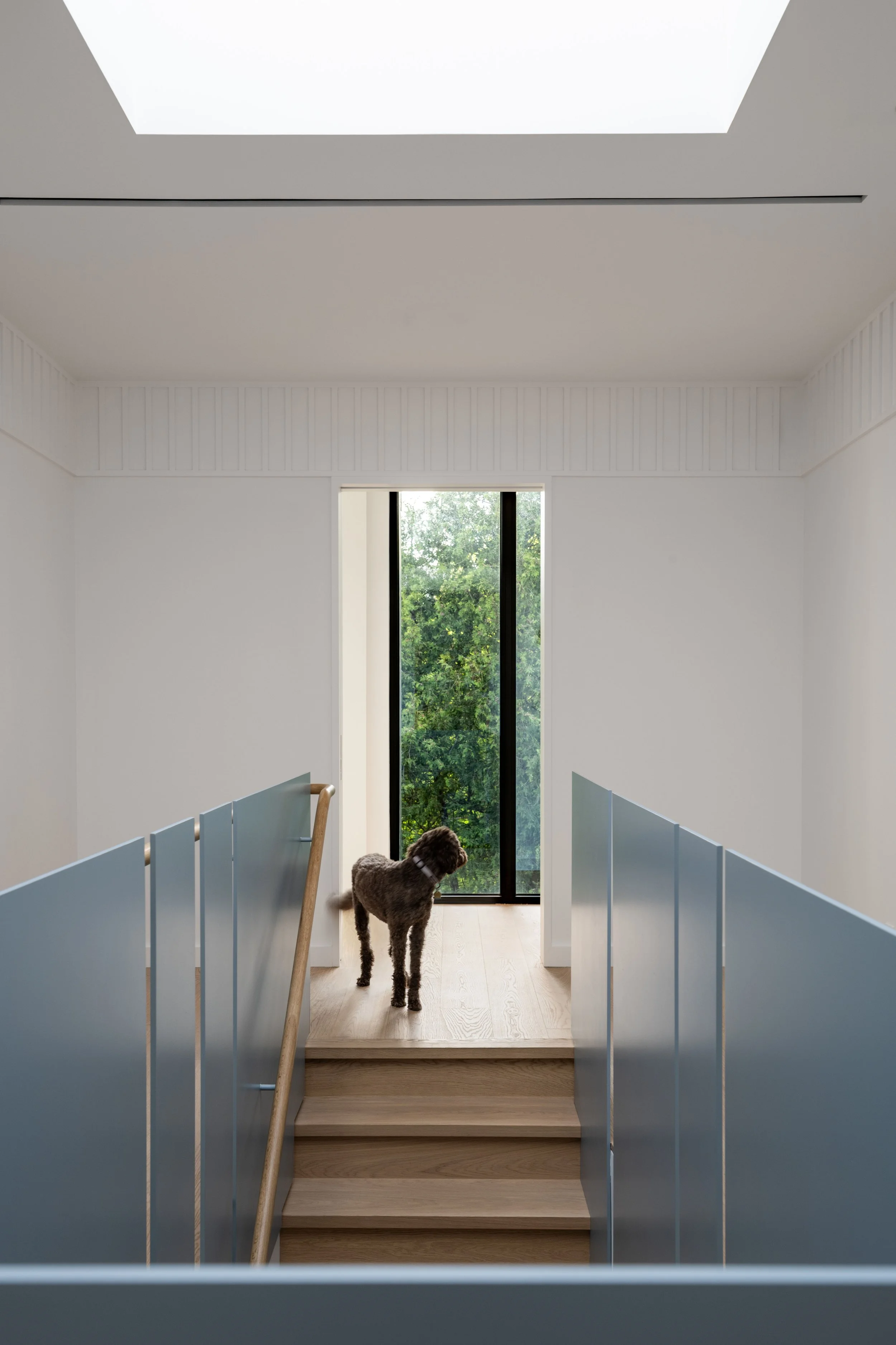 A hallway with a staircase leading to a door with large windows showing green trees outside. A dog stands at the top of the stairs near the door. The walls are white with a decorative border near the ceiling, and the stairs are made of wood.