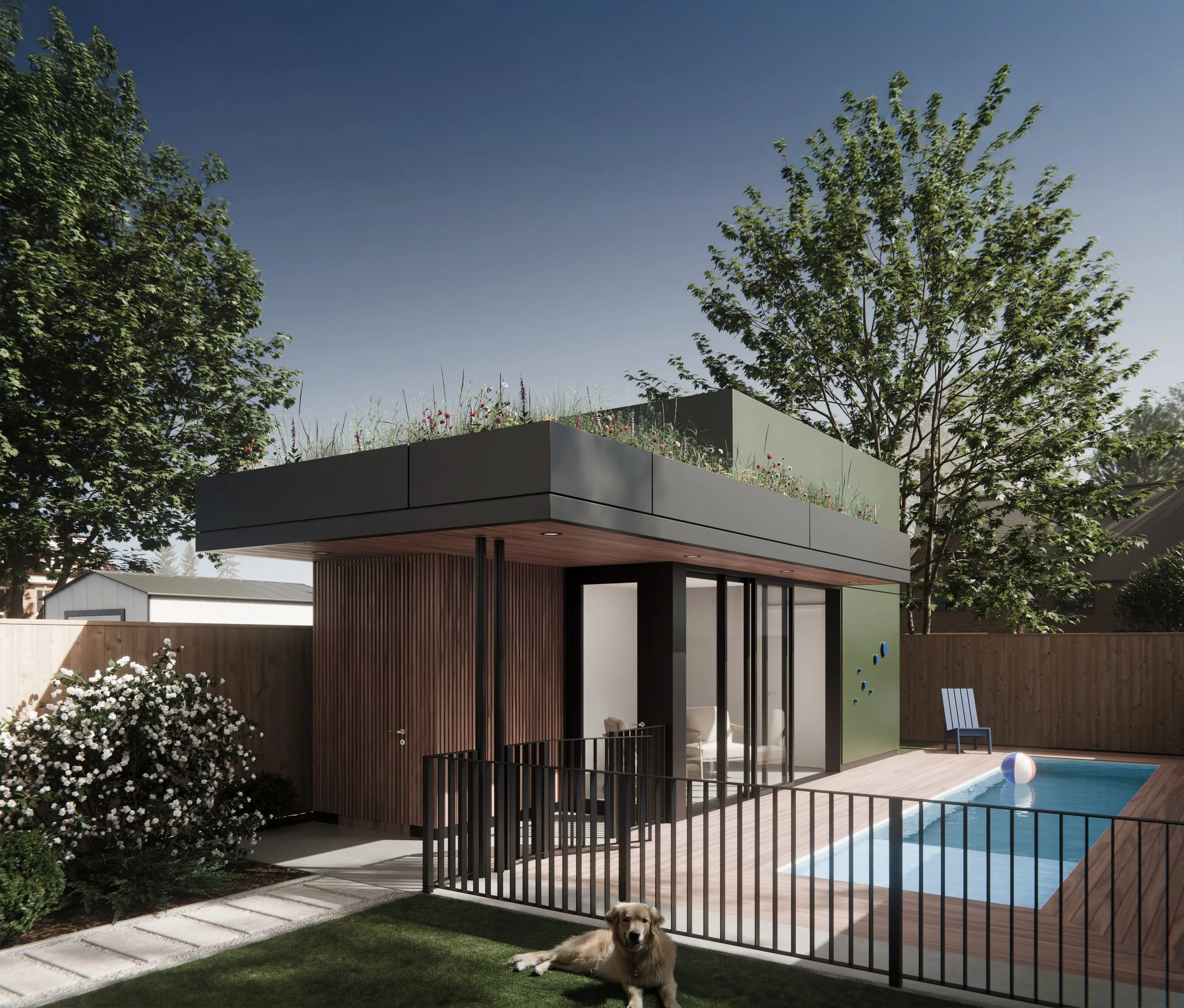 Modern house with a rooftop garden, trees, a swimming pool with a beach ball, and a dog lying on the grass.