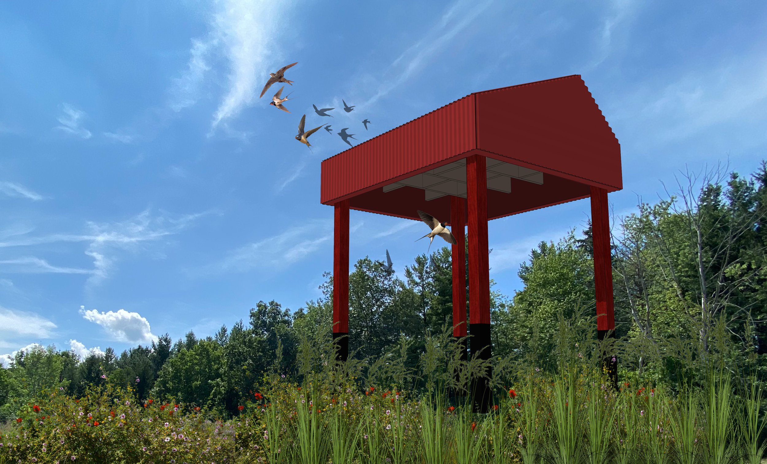 Swallow Meadows - The Swallow House