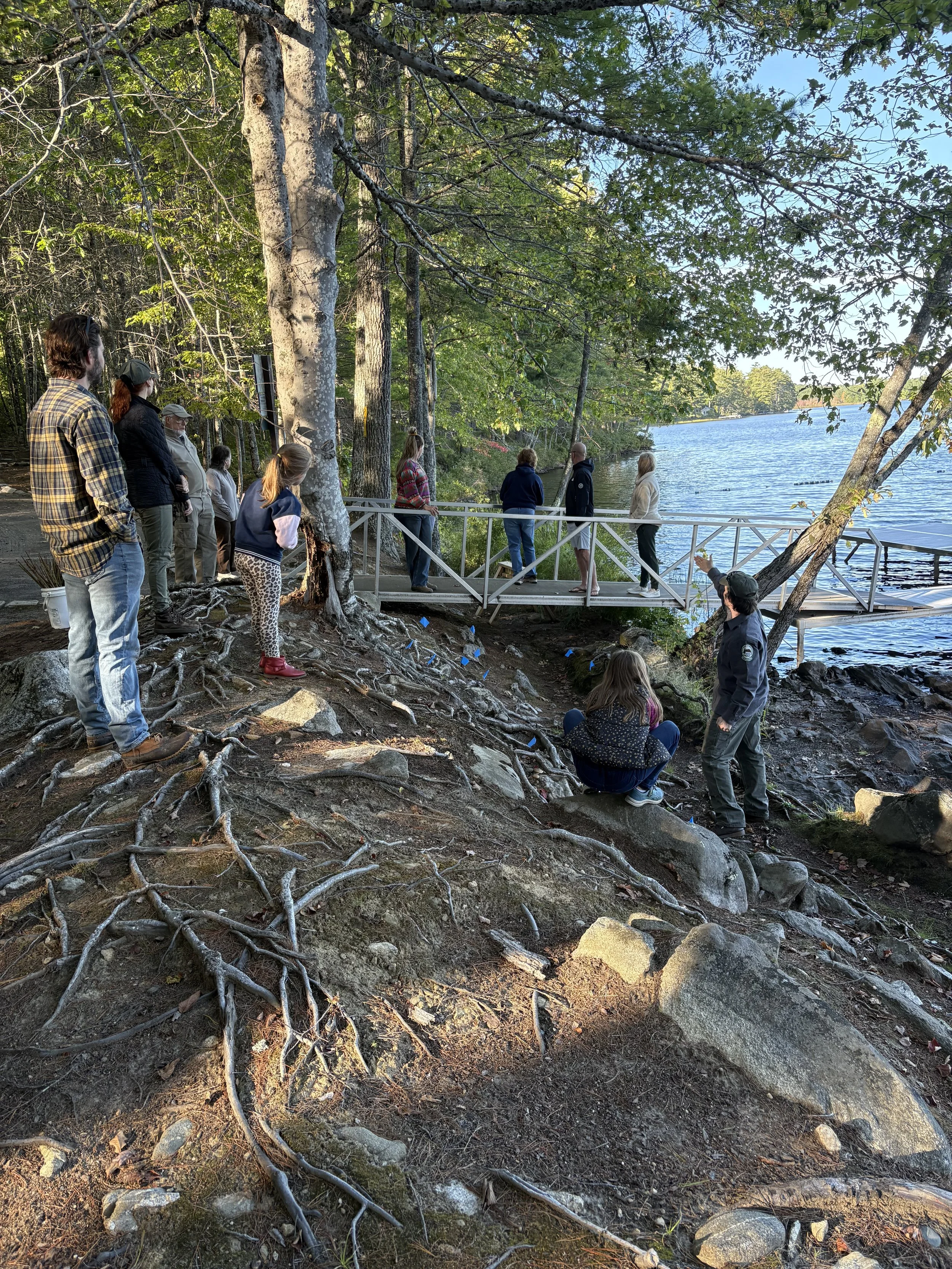 Attendees at the live staking site