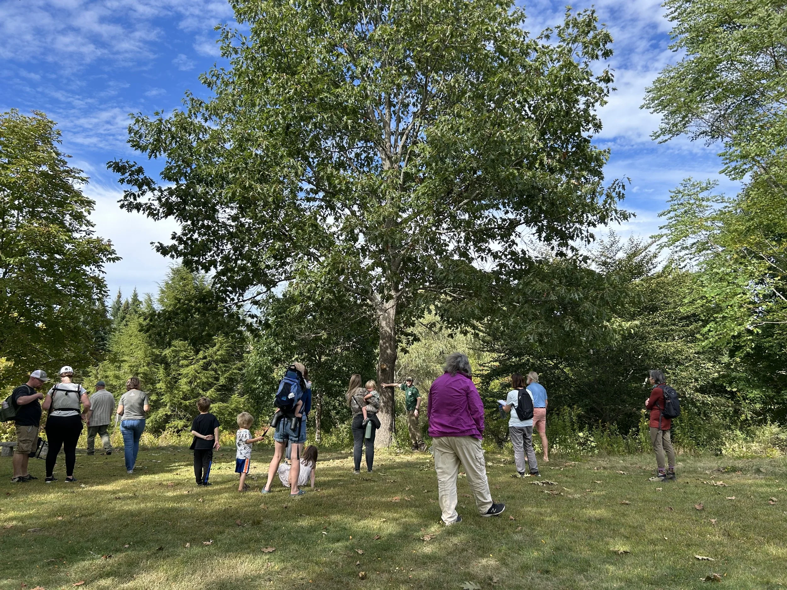 Tree ID & Why It Matters Workshop – September 17, 2025