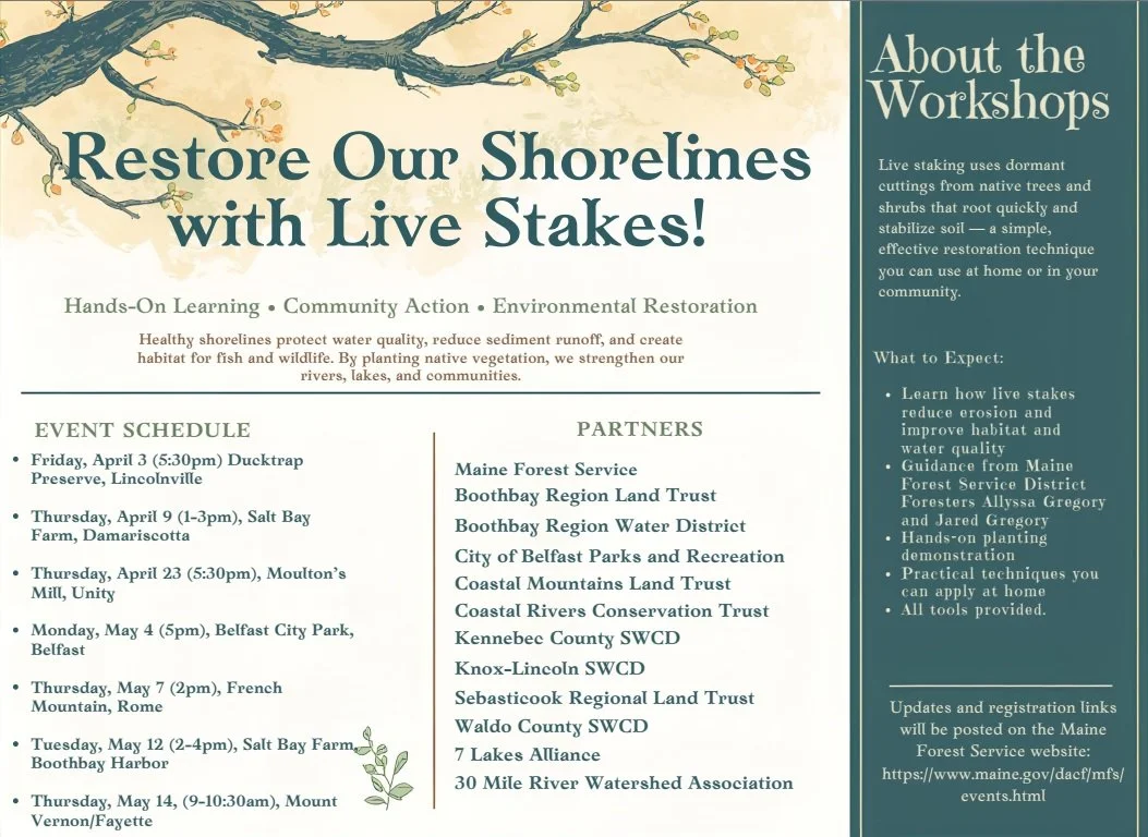 French Mountain Trailhead Live Stake Workshop