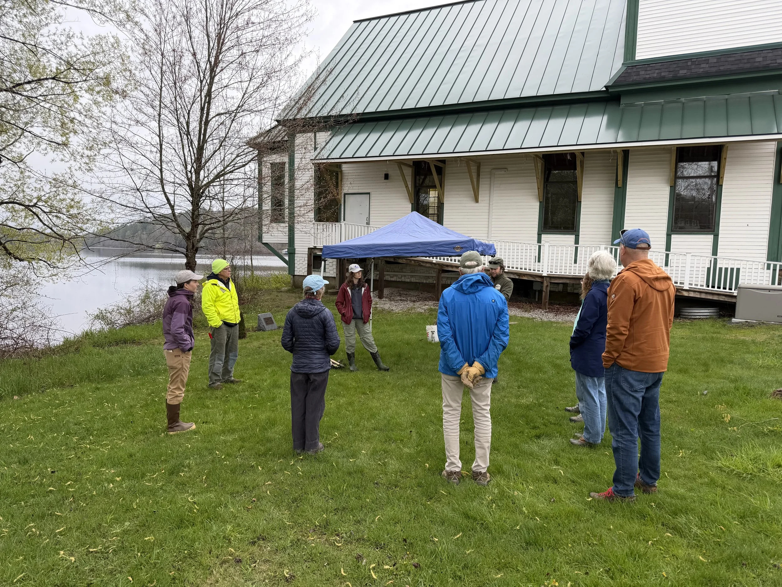Minnehonk Boat Launch Live Stake/Invasive Removal