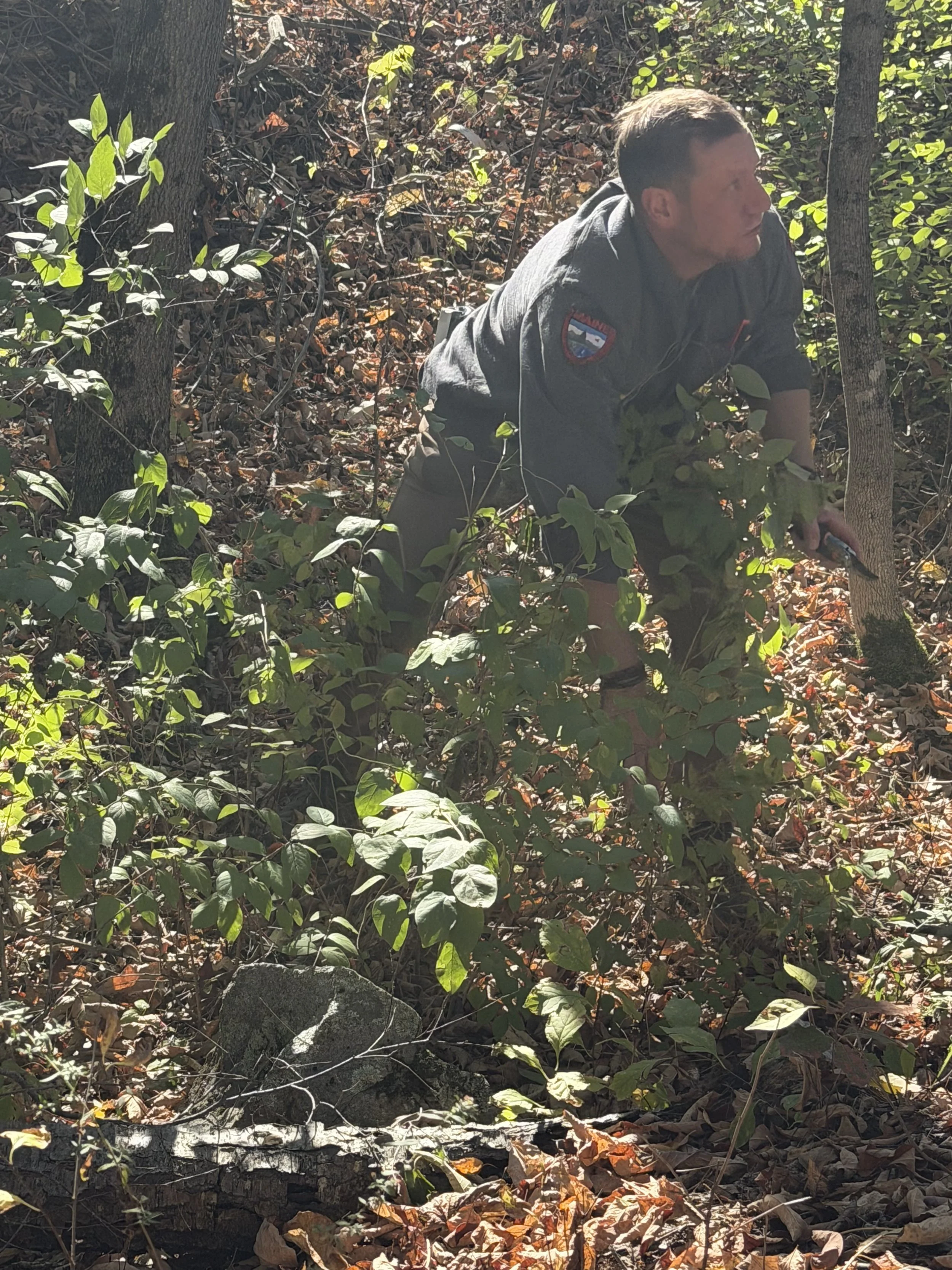 Chad discussing invasive honeysuckle