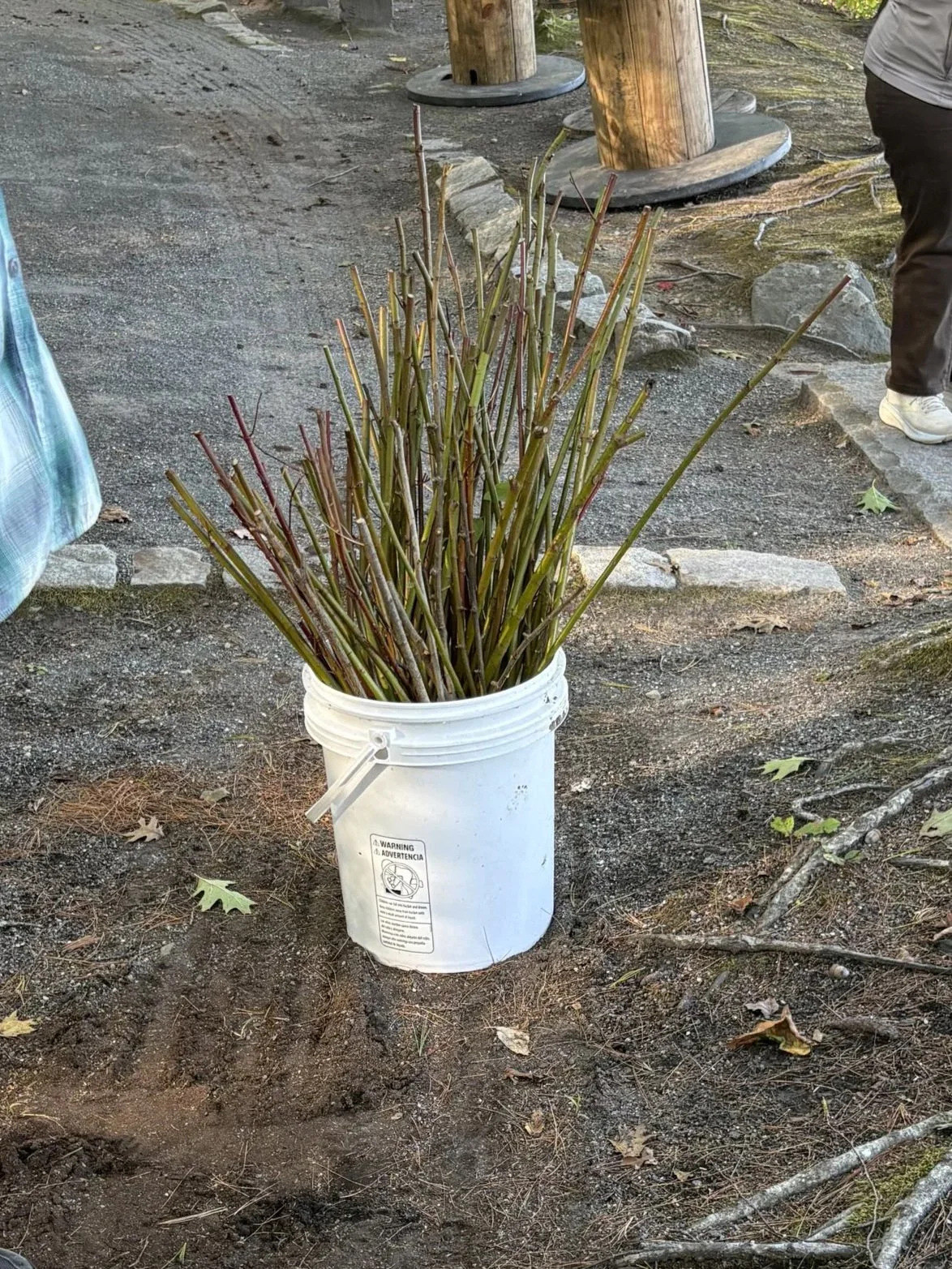 Live stakes for the event