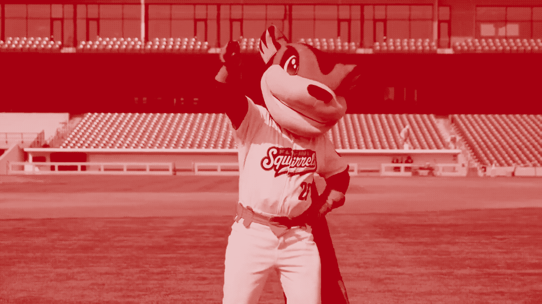 CARMAX PARK <br>How to gain a new neighbor's respect