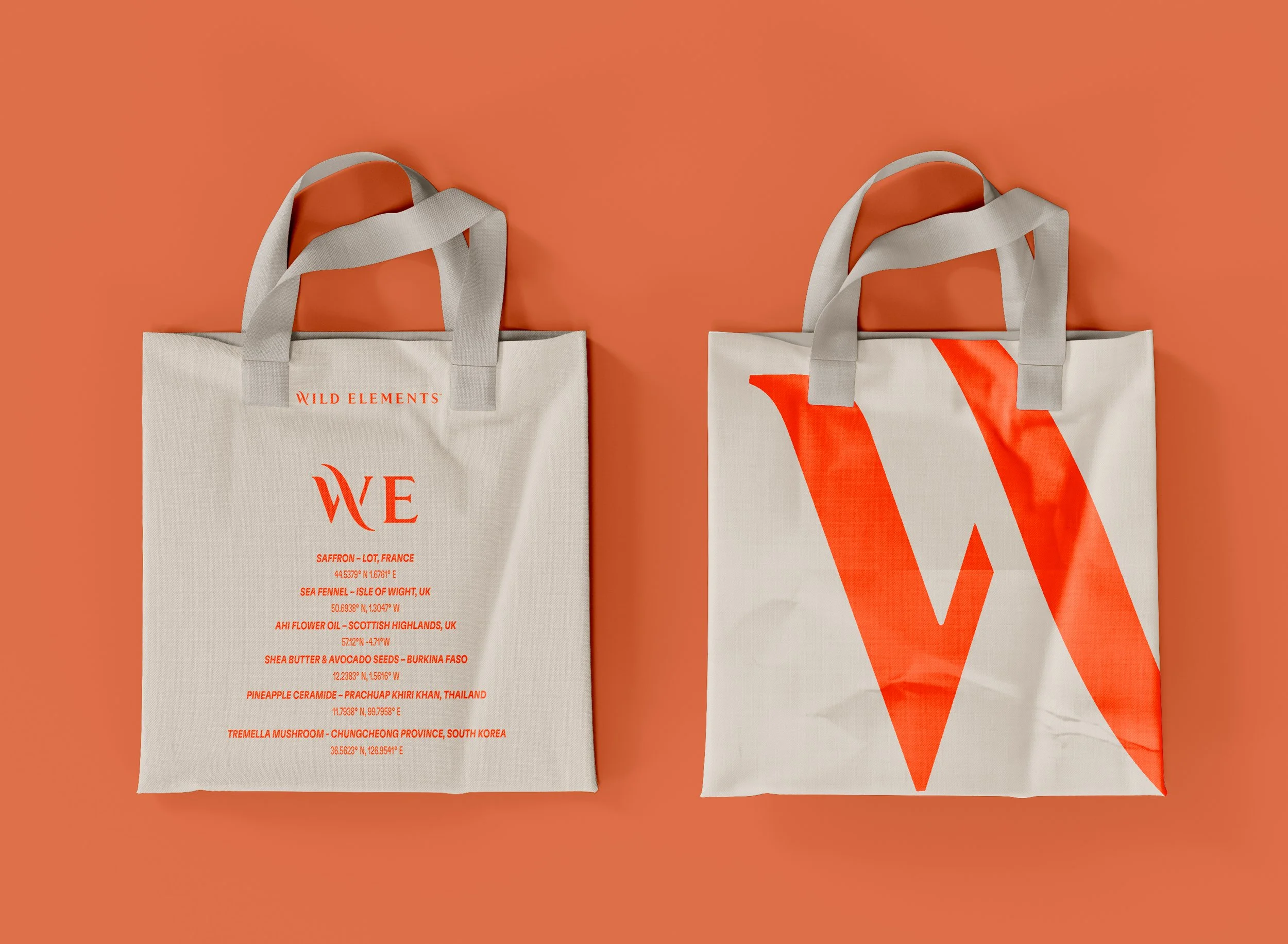 WE-Totebag-7.16.jpg