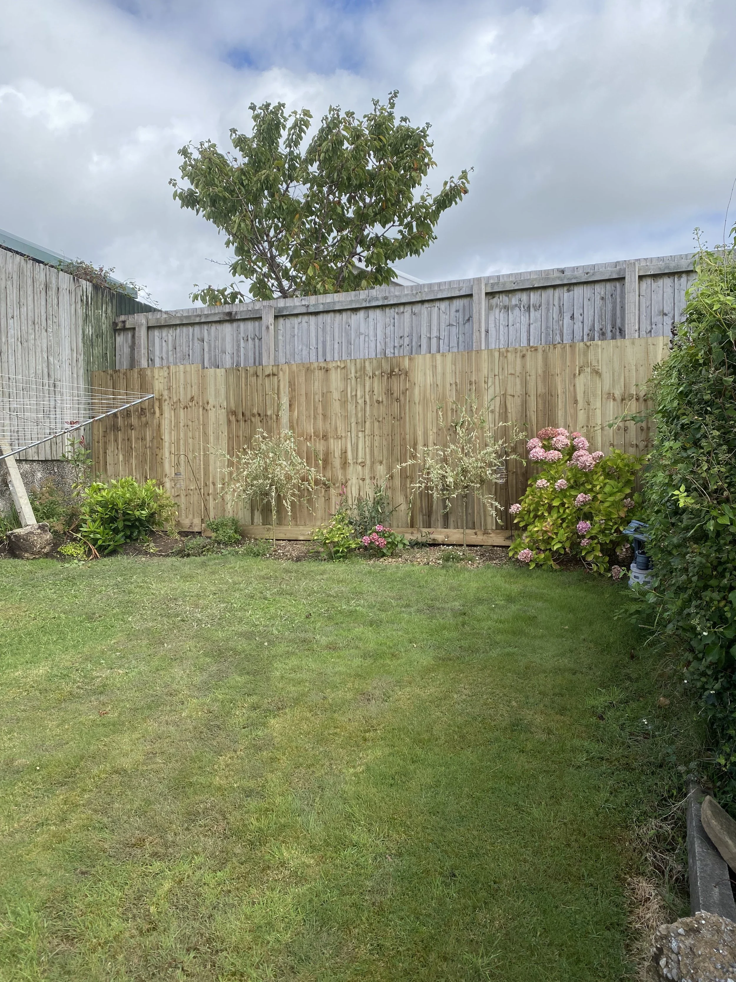 A backyard with a grassy lawn, a wooden and gray fence, small flowering bushes, and a large tree, under a partly cloudy sky.