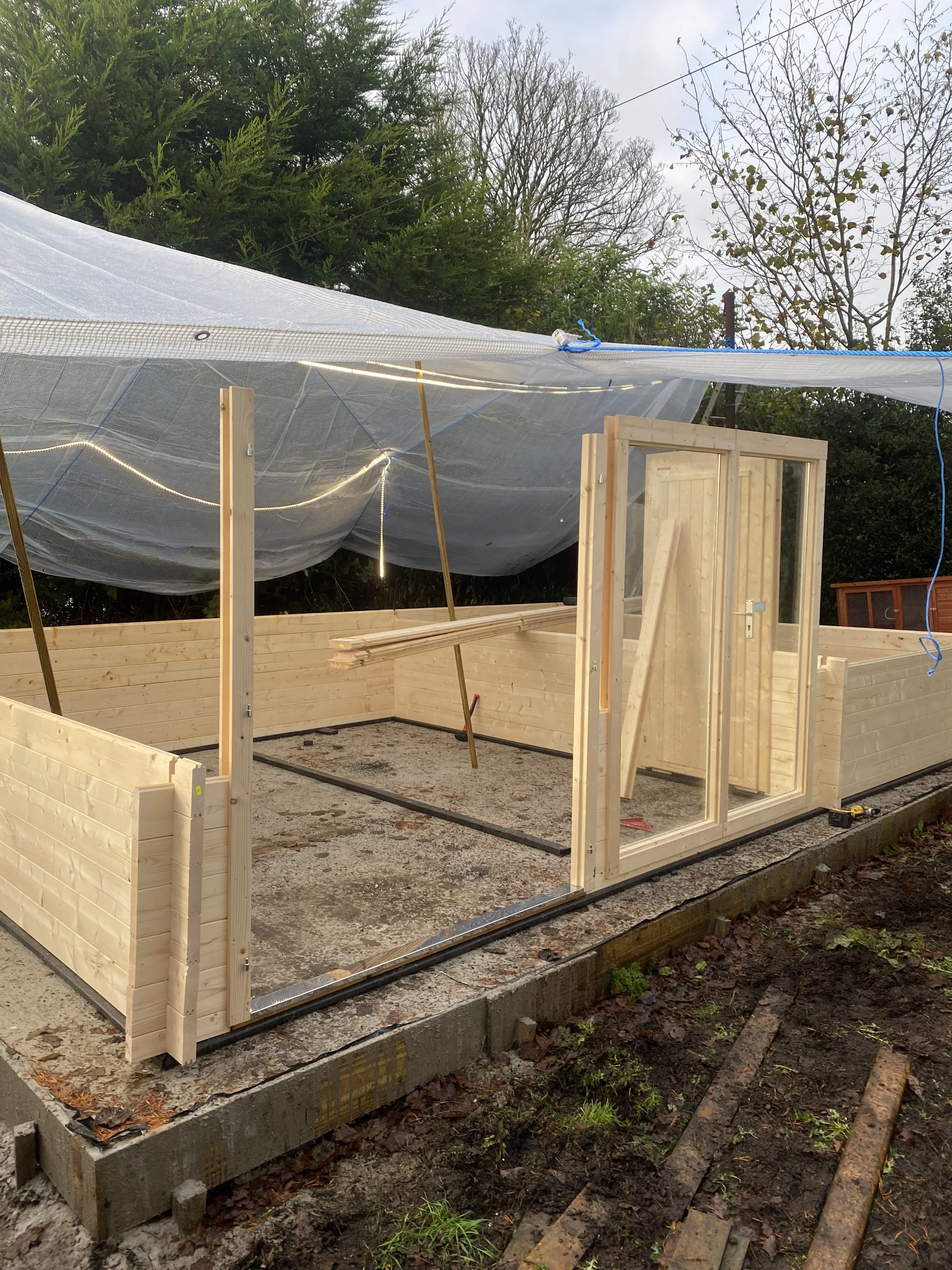 A partially constructed wooden garden shed or structure, with framed walls and a glass door, on a concrete foundation in a backyard, surrounded by trees and overcast sky.