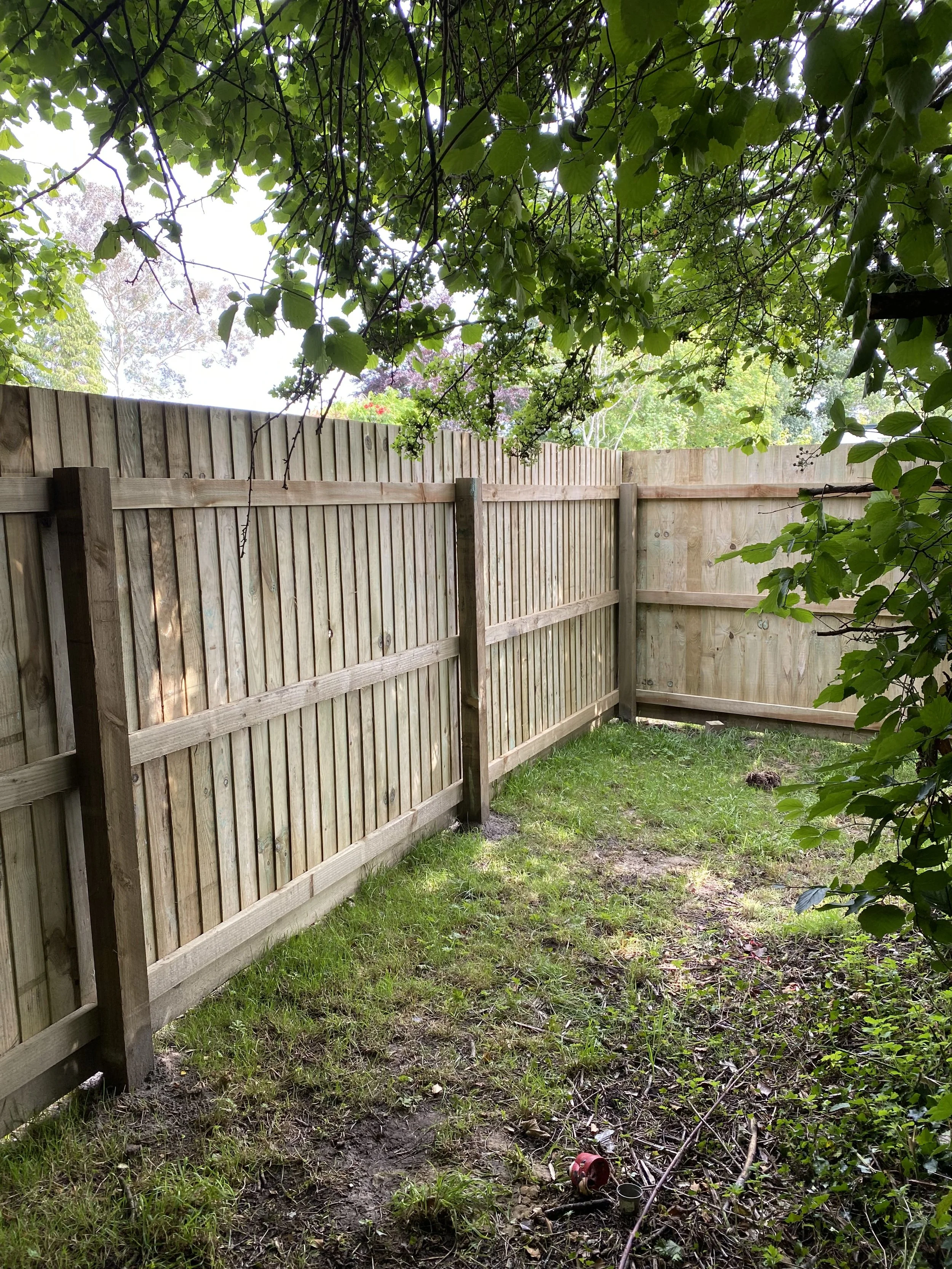 A backyard corner with a new wooden fence, green grass, and overhanging leafy branches.