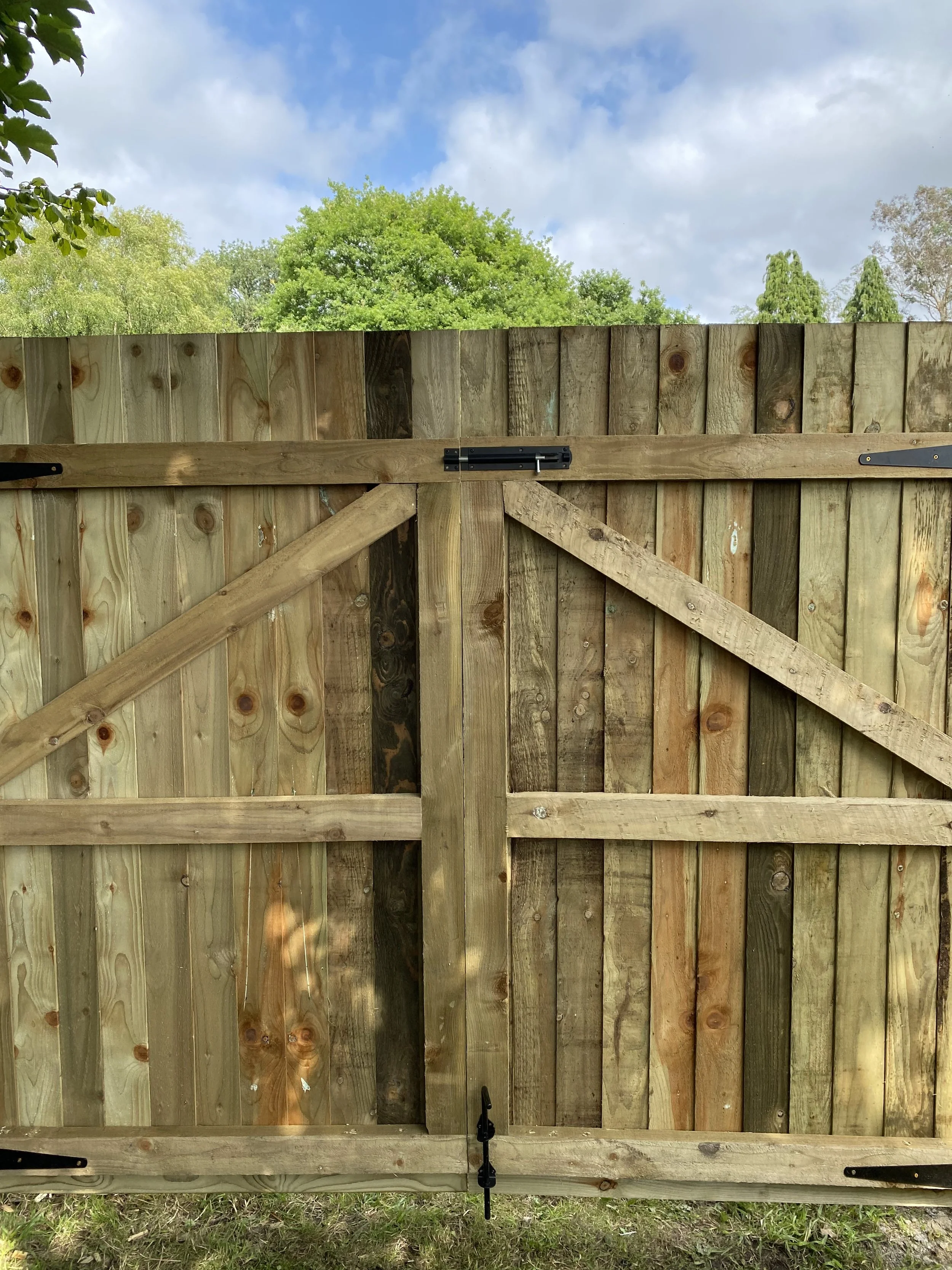 A wooden backyard fence with a gate, set against a backdrop of trees and a partly cloudy sky.