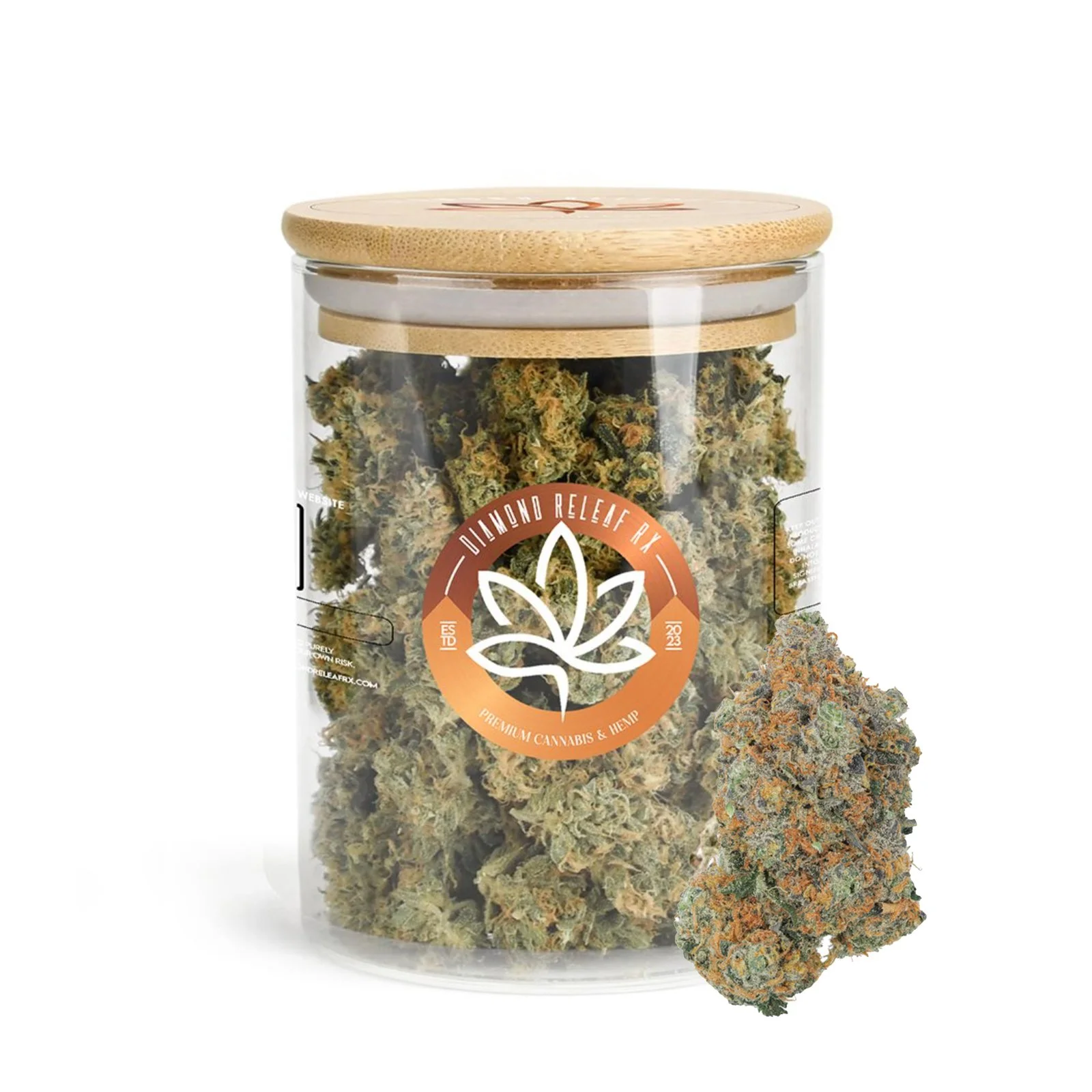 College Park | Sativa
