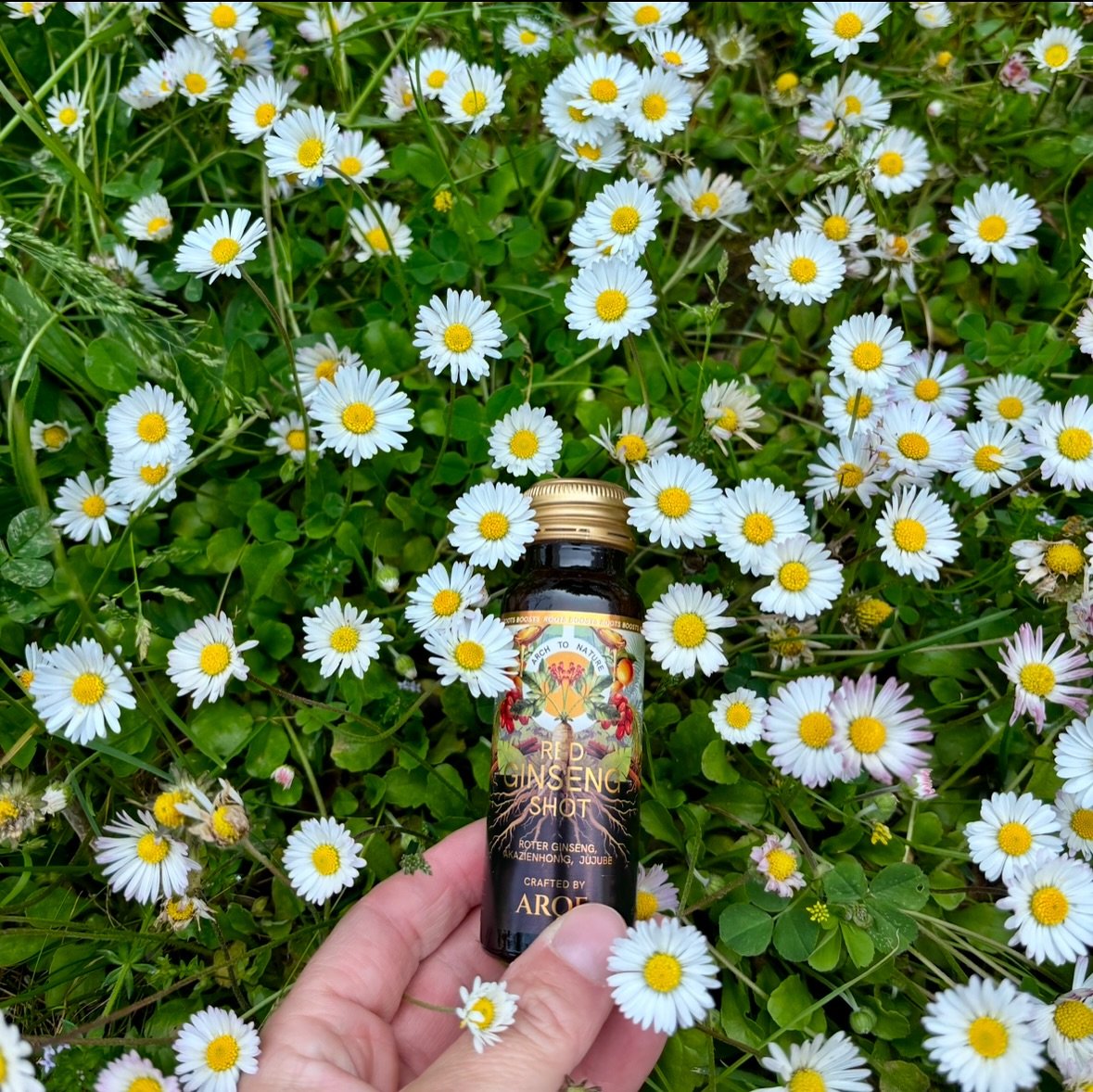 F&uuml;r deine endlose Liebe und Weisheit, die uns t&auml;glich begleitet. Du bist unser gr&ouml;sstes Geschenk. Frohen Muttertag! 💐 

Pour ton amour infini et ta sagesse qui nous guident chaque jour. Tu es notre plus grand cadeau. Joyeuse F&ecirc;t