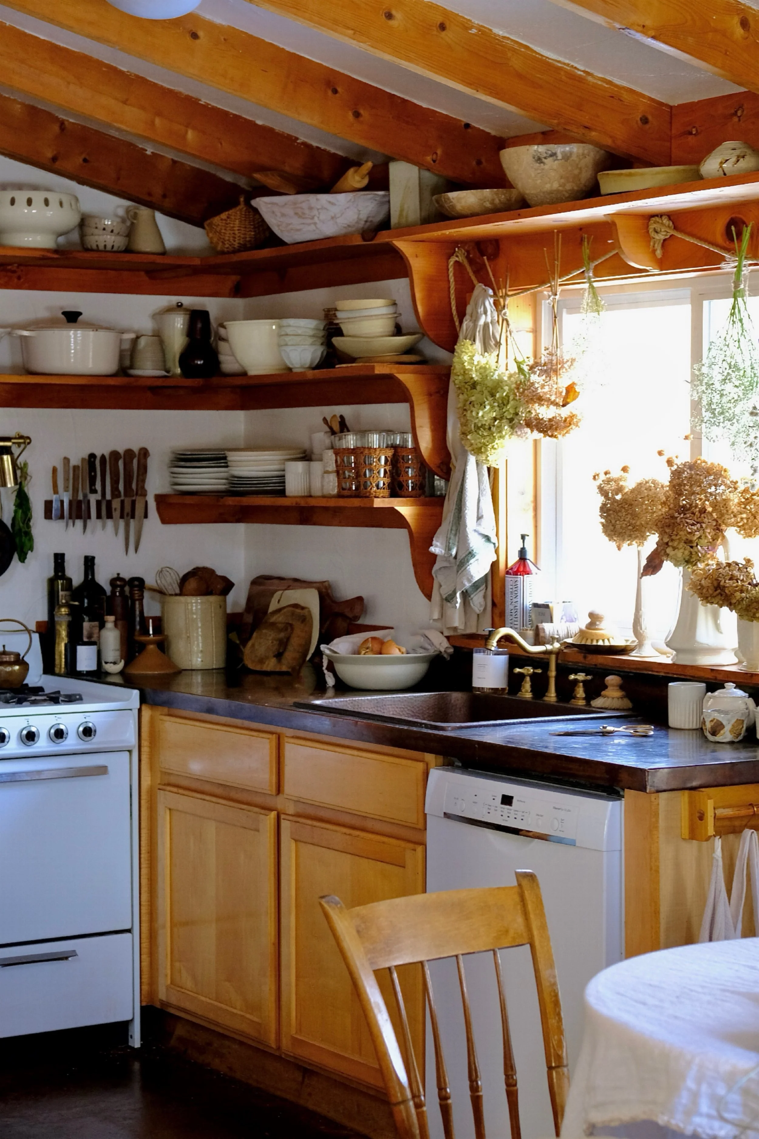 Photo Feb 13 2024, 2 03 08 PM.jpg