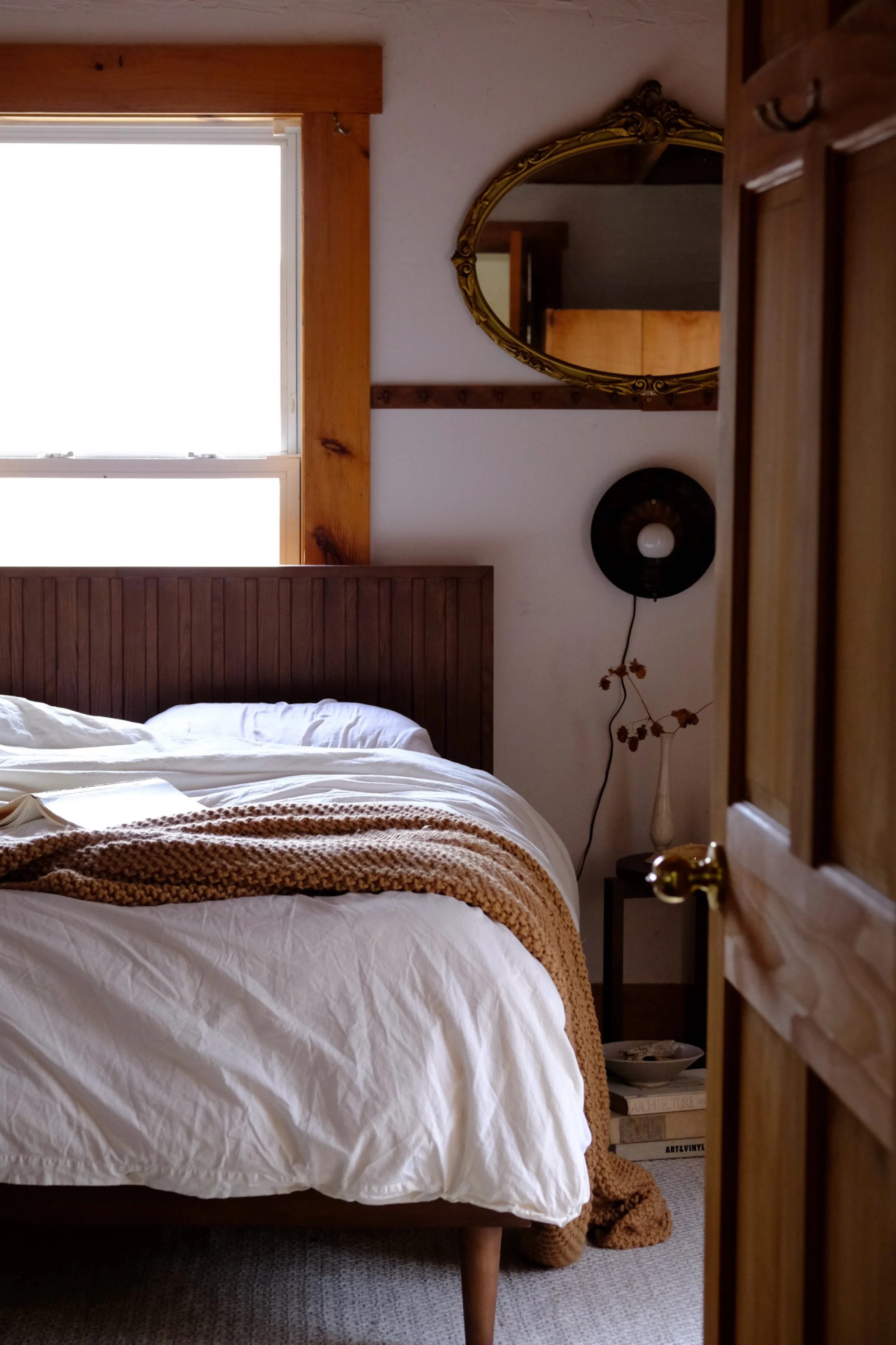 Photo Feb 13 2024, 3 20 04 PM.jpg