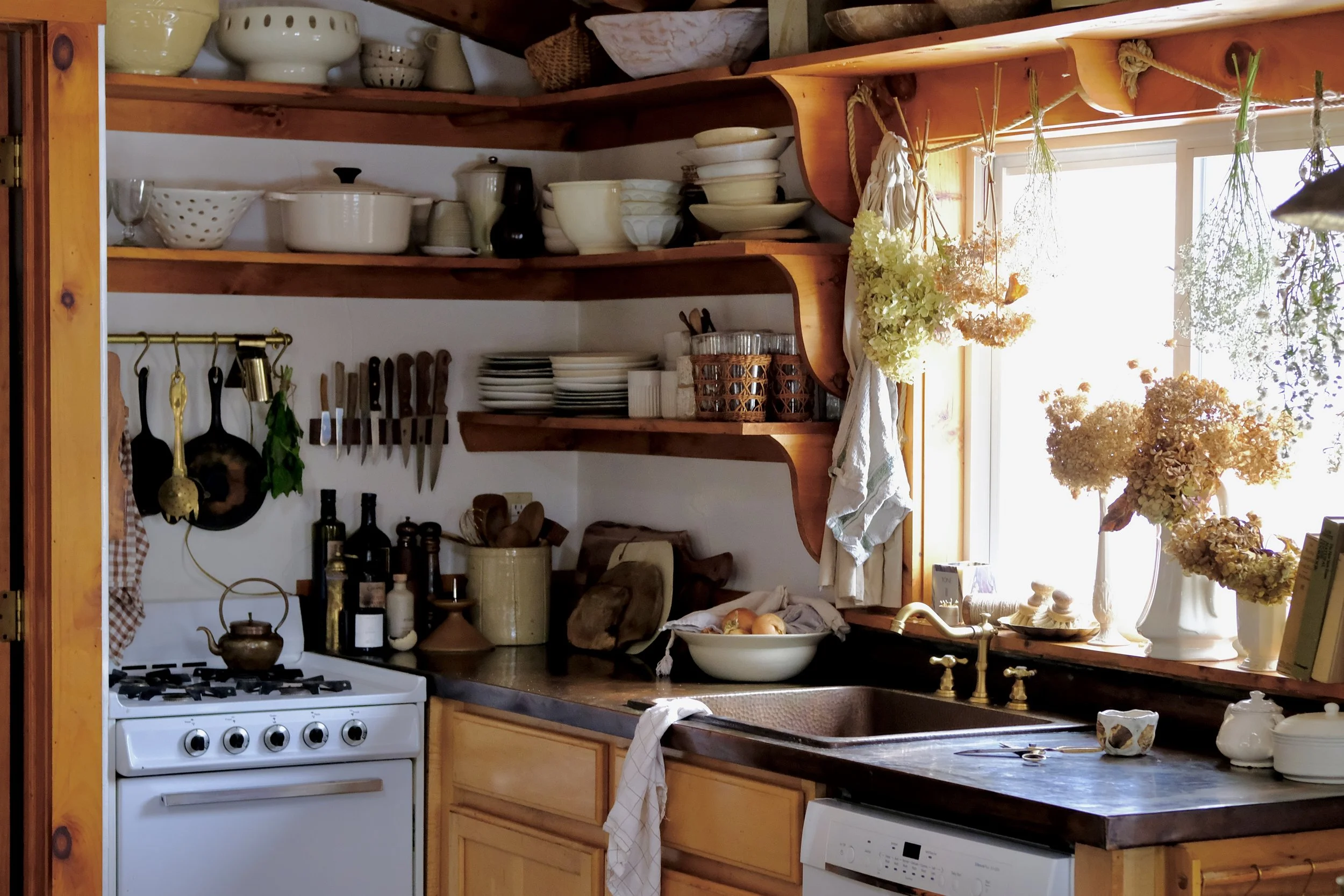 Photo Dec 11 2023, 2 49 49 PM.jpg