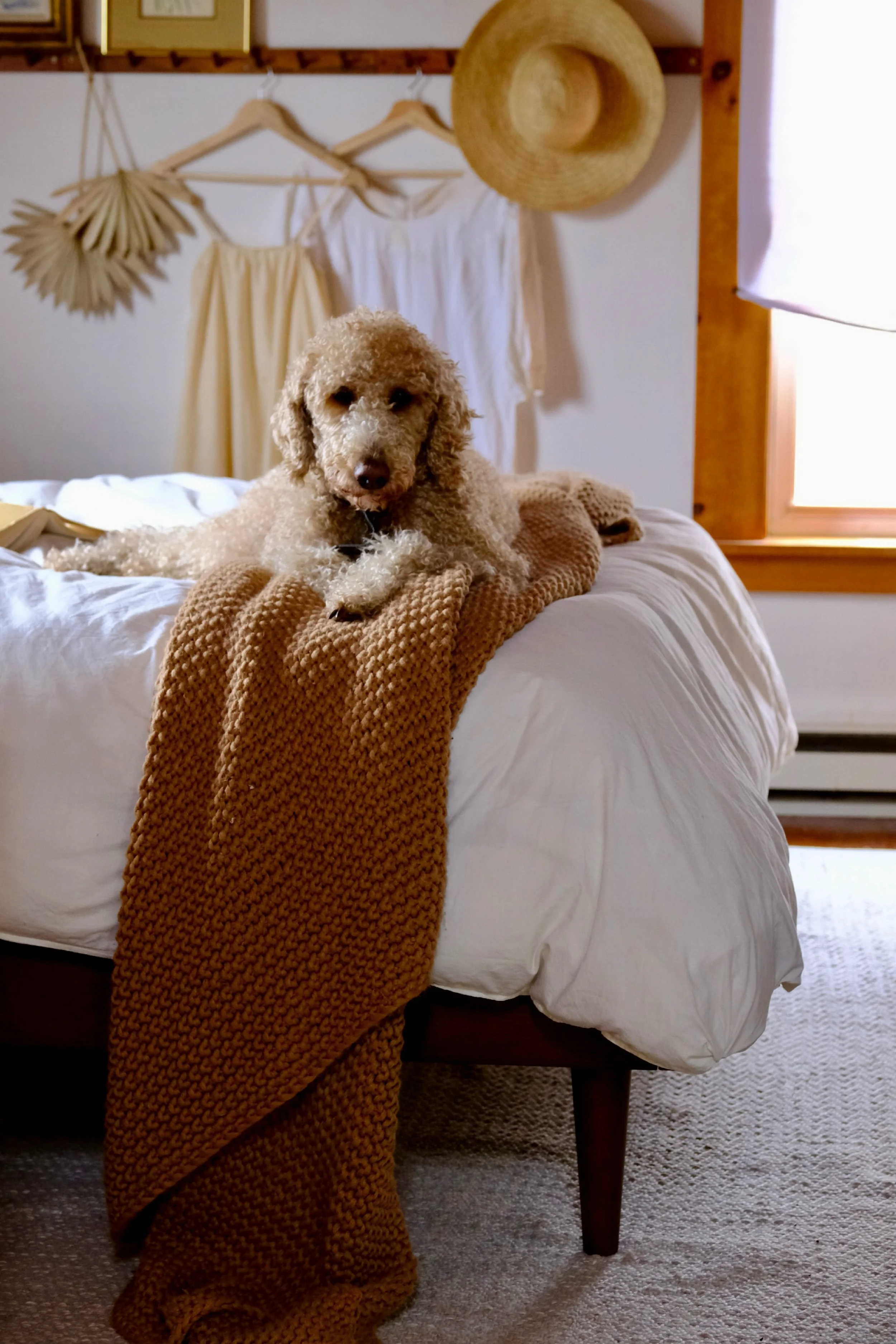 Photo Feb 13 2024, 3 20 04 PM (1).jpg