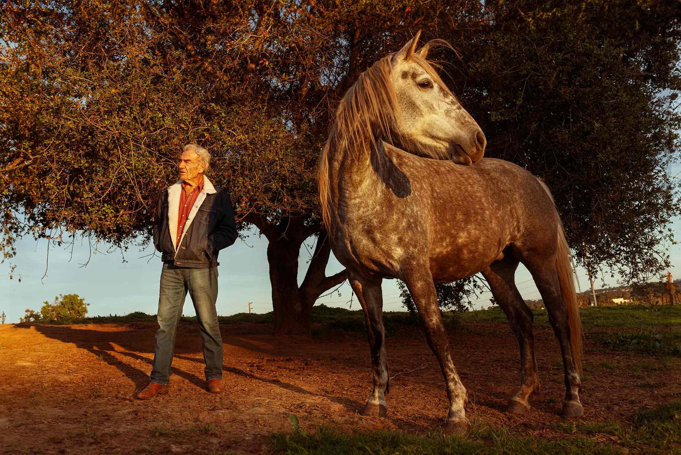 An elderly man standing next to a gray horse under a large tree during sunset.