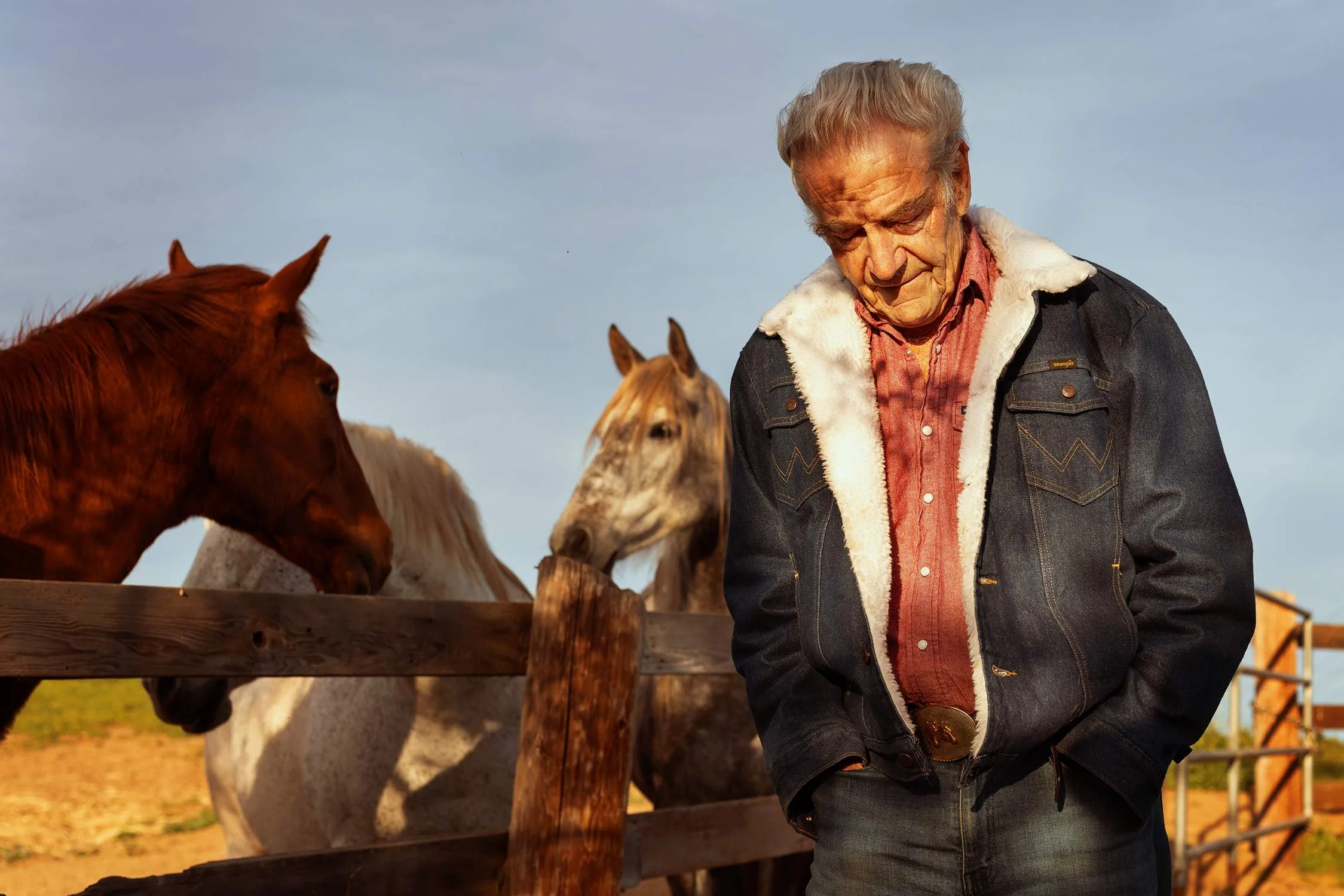 An older man standing in front of a wooden fence with three horses in the background during daytime.