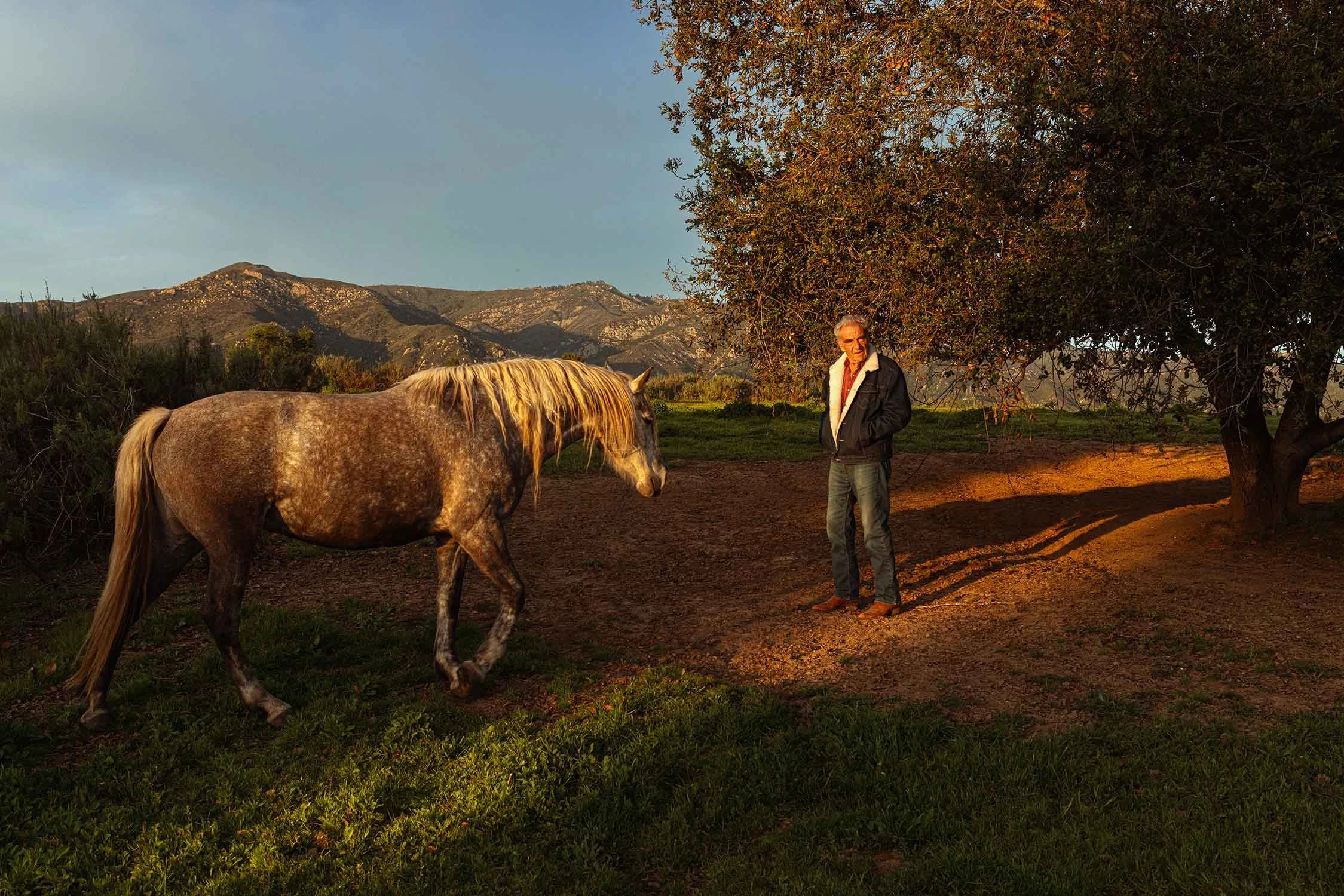 A man standing next to a tree and a horse in a rural landscape during sunset, with mountains in the background.