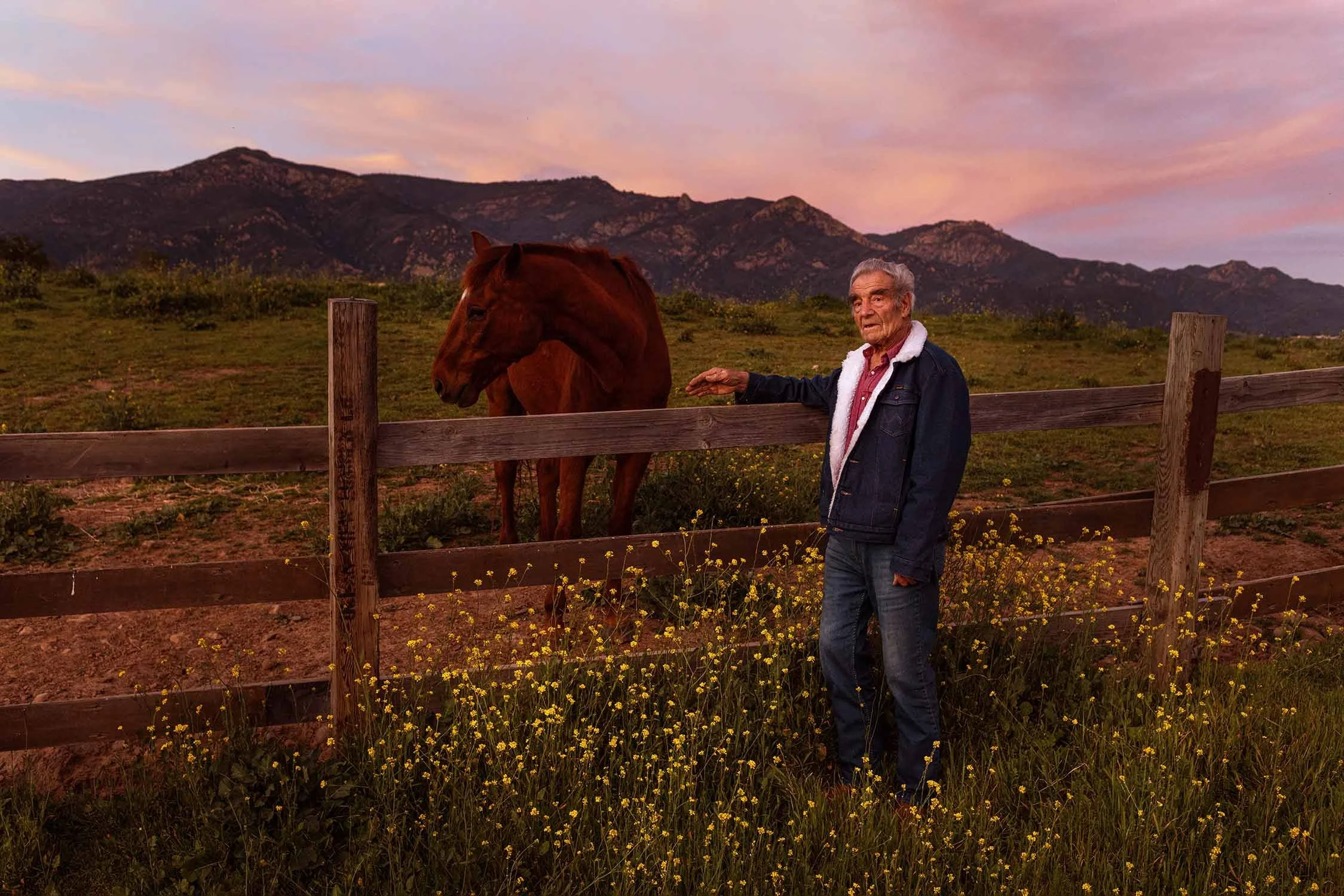 An elderly man stands next to a wooden fence with a brown horse in a grassy field, mountains in the background, during sunset.
