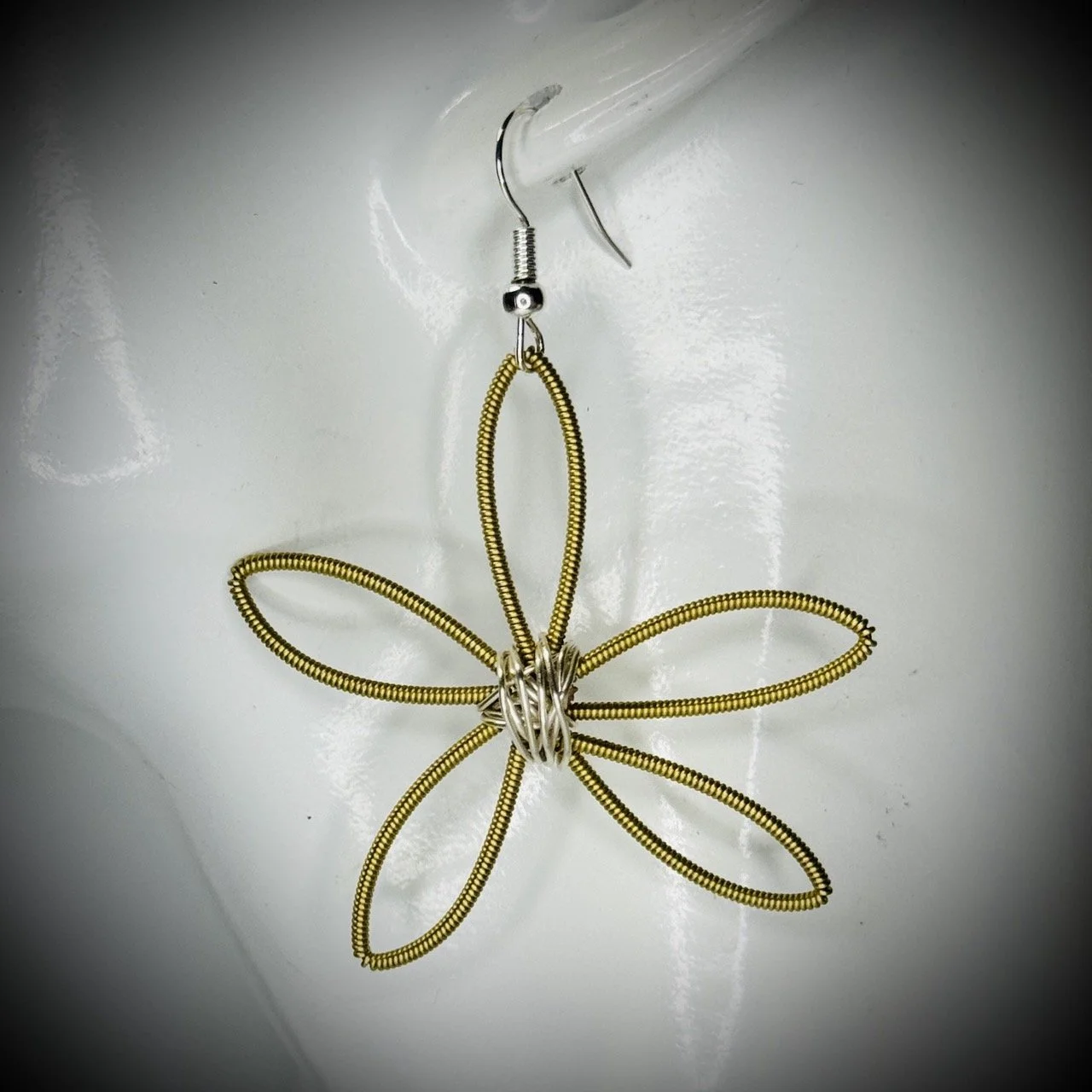 Where Snowbirds Fly - GSE309