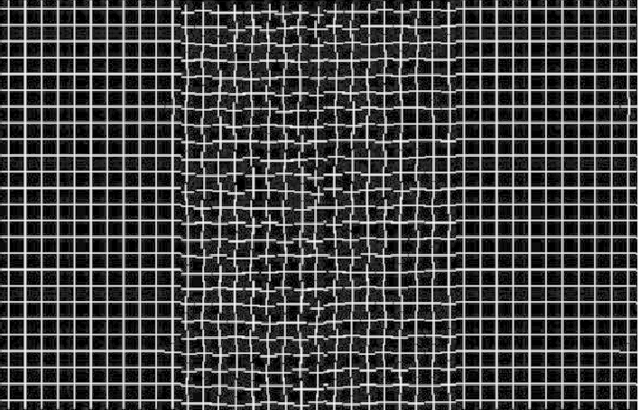 healing grid illusion