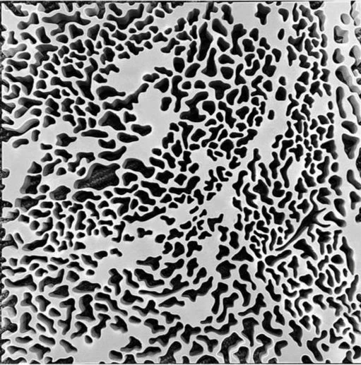 HARRISON - SCREEN 1 OF 1.jpg