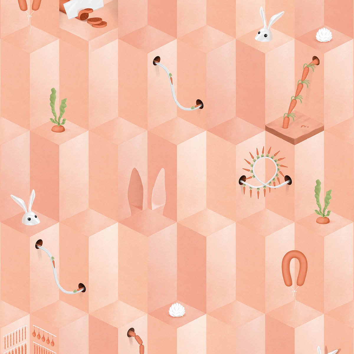 SUZ-01 Pink Carrot Close up LoRes.jpg