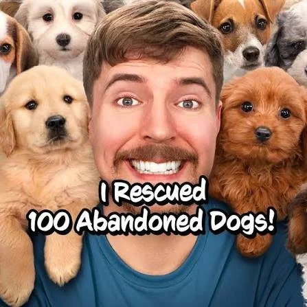 Inside the MrBeast 100 Dogs Mobile Billboard Advertising Campaign