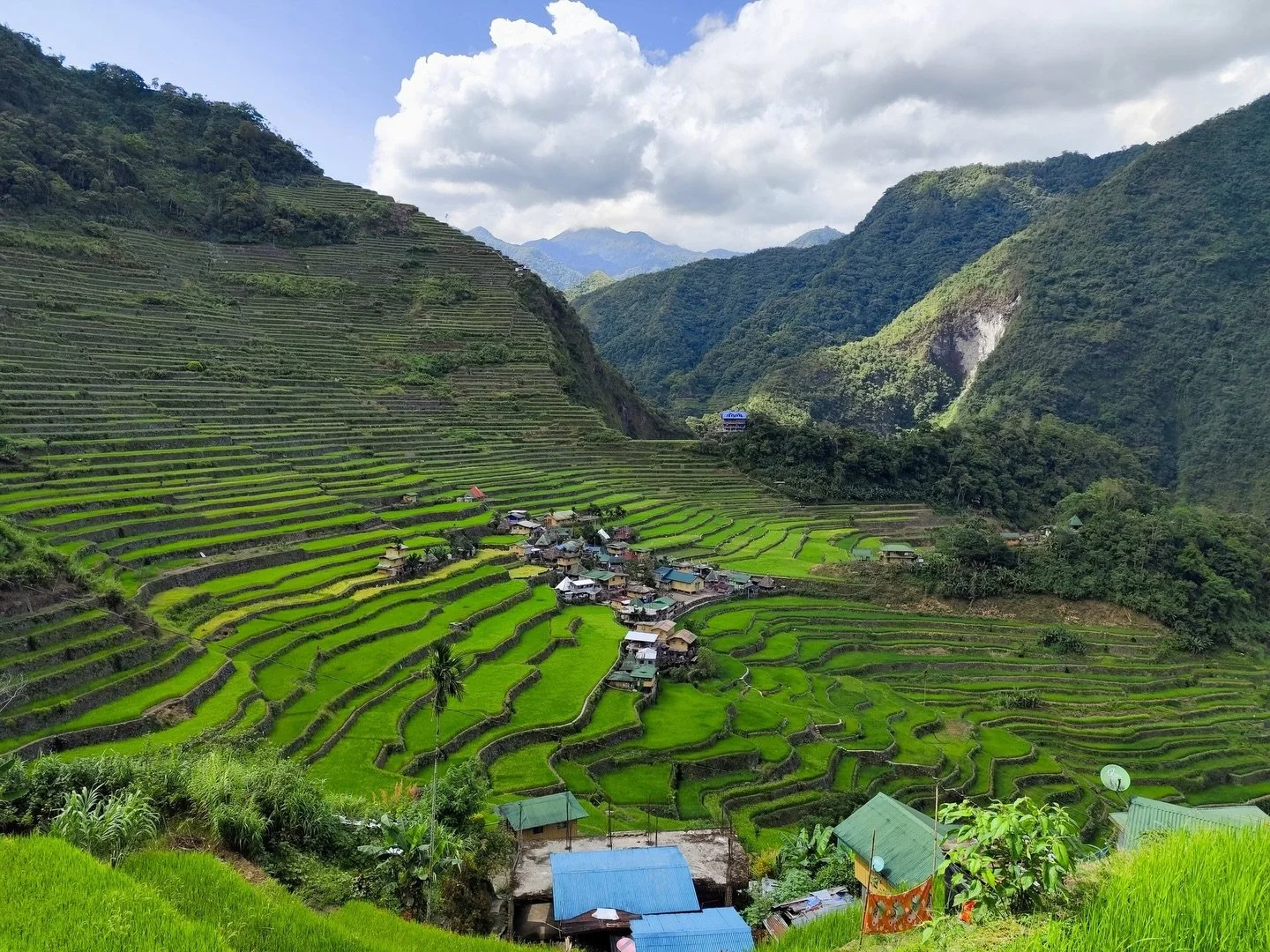 We have travelers heading out today for an unforgettable 21-day Philippines adventure for two families traveling together, combining vibrant city life, authentic local culture, beachfront relaxation, and some of the most beautiful islands on Earth. 
